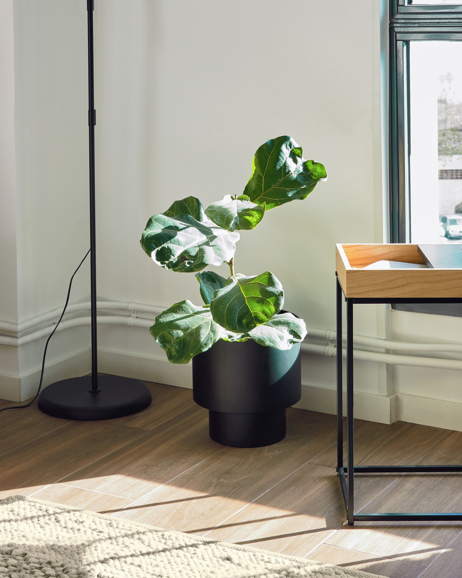 Mash black metal planter Ø 28 cm - Lifestyle