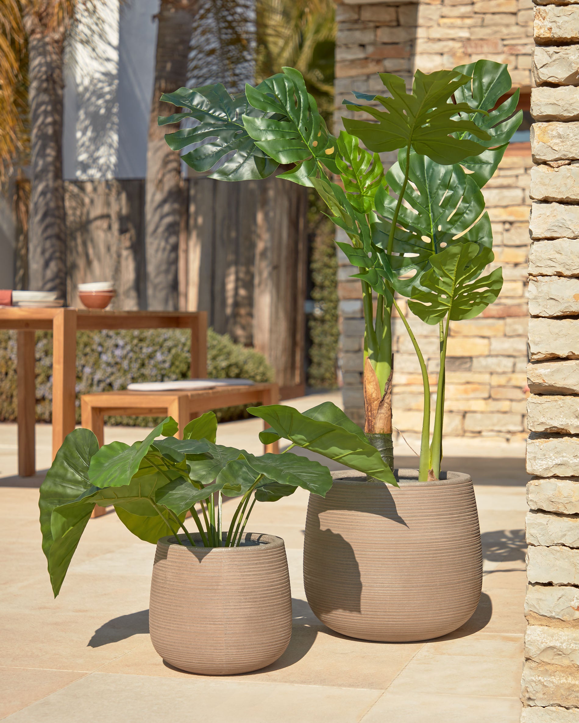 Artificial Alocasia Odora with black plantpot 57 cm - Lifestyle