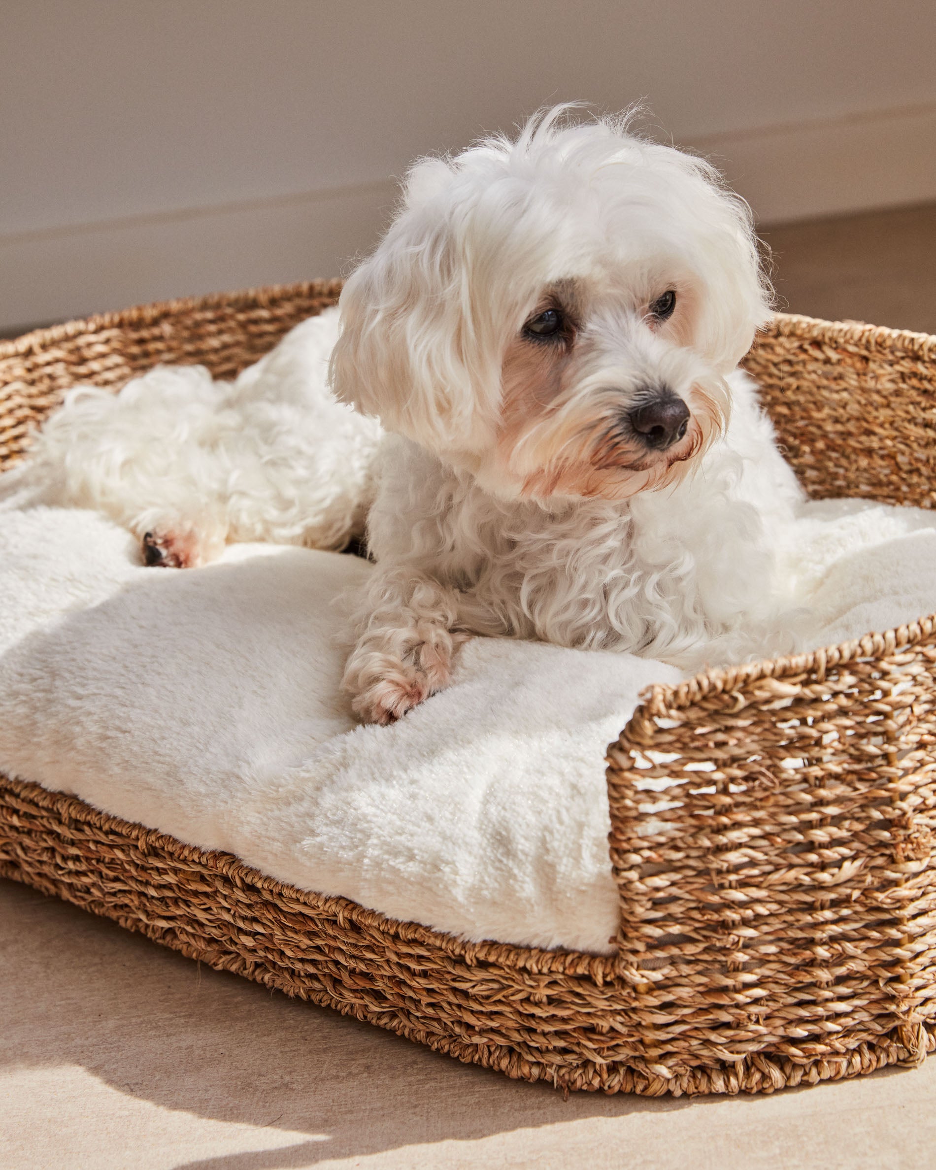 Codie portable pet cushion in white fur, Ø 60 x 10 cm - Lifestyle
