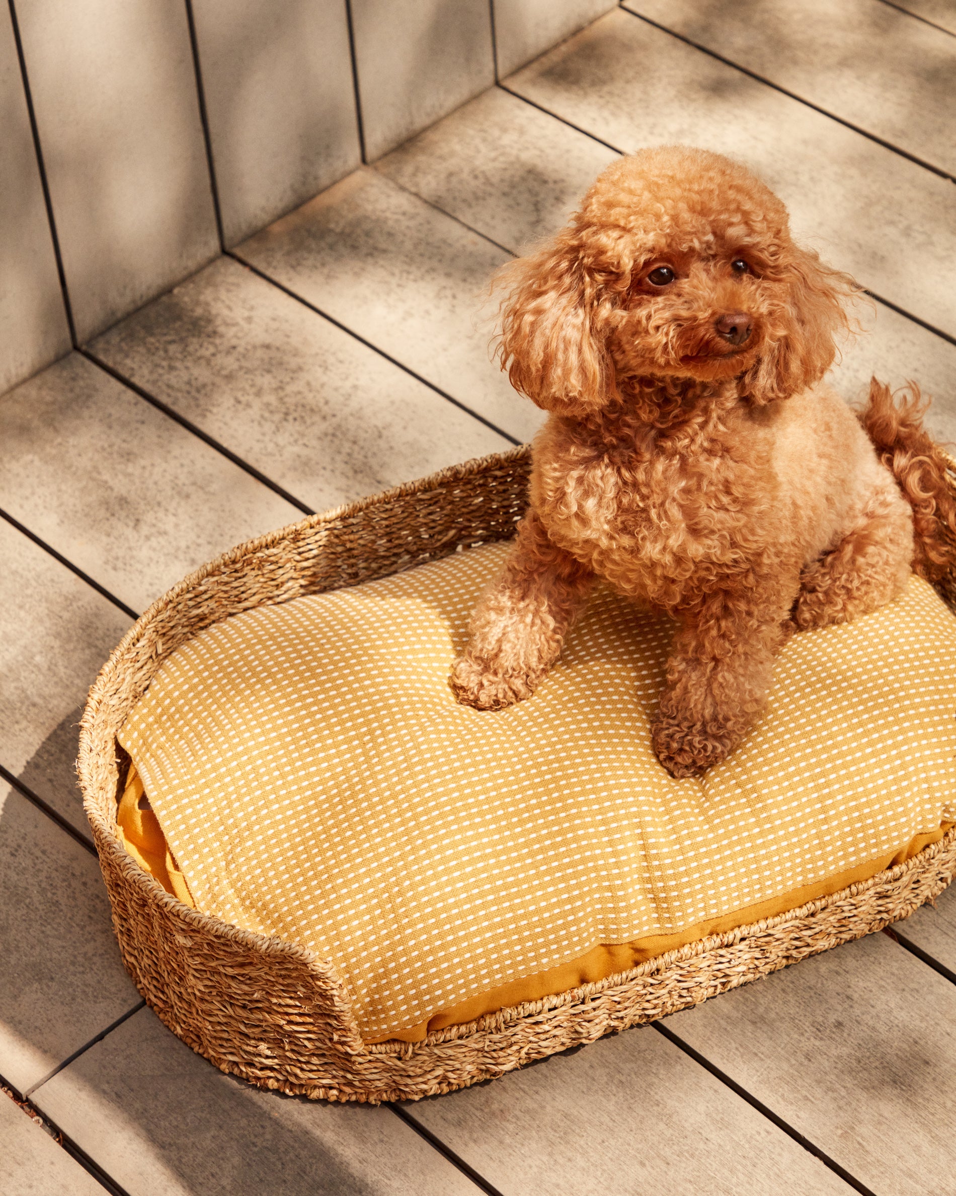 Fliicker bed for pets made from natural fibres Ø 60 x 35 cm - Lifestyle