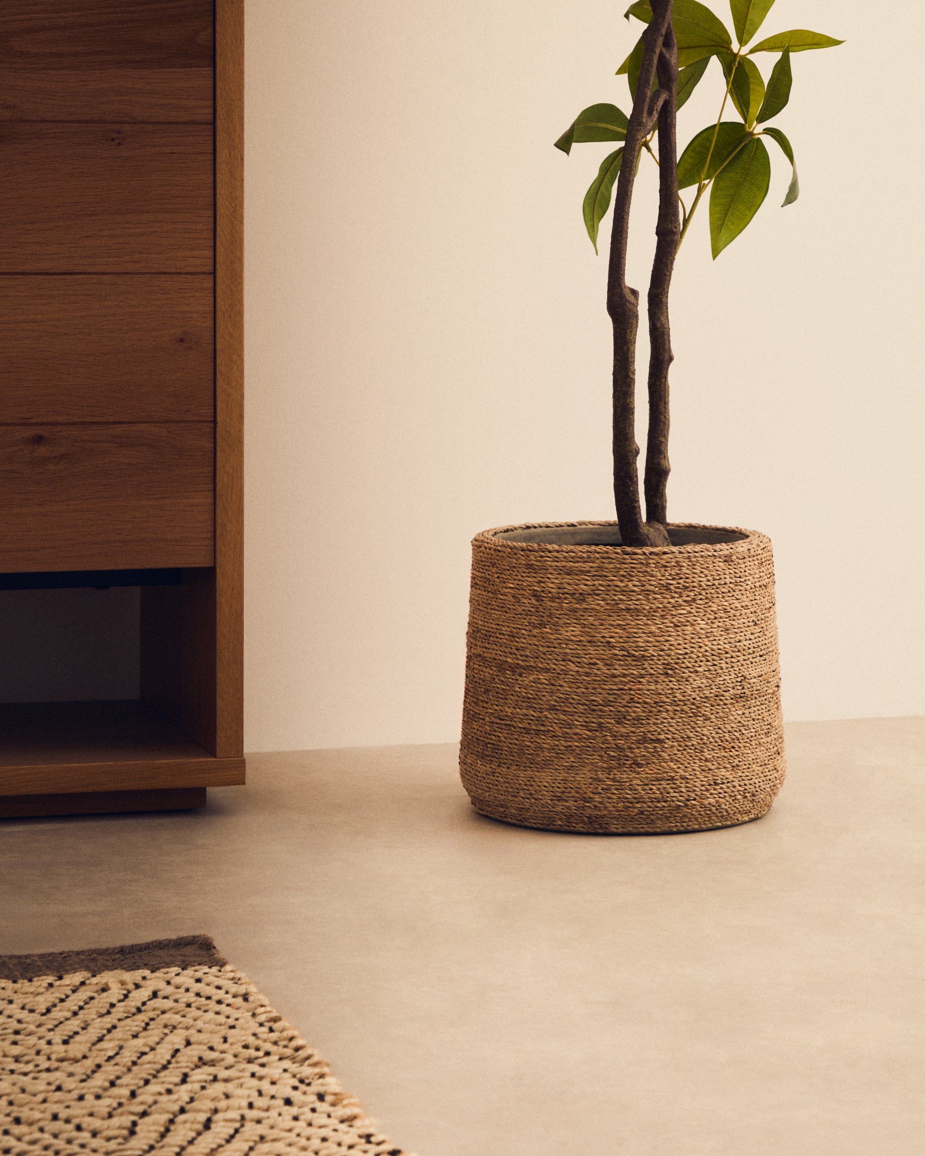 Sigal set of 2 cement plant pots in a natural finish, Ø 24 cm / 31 cm - Lifestyle