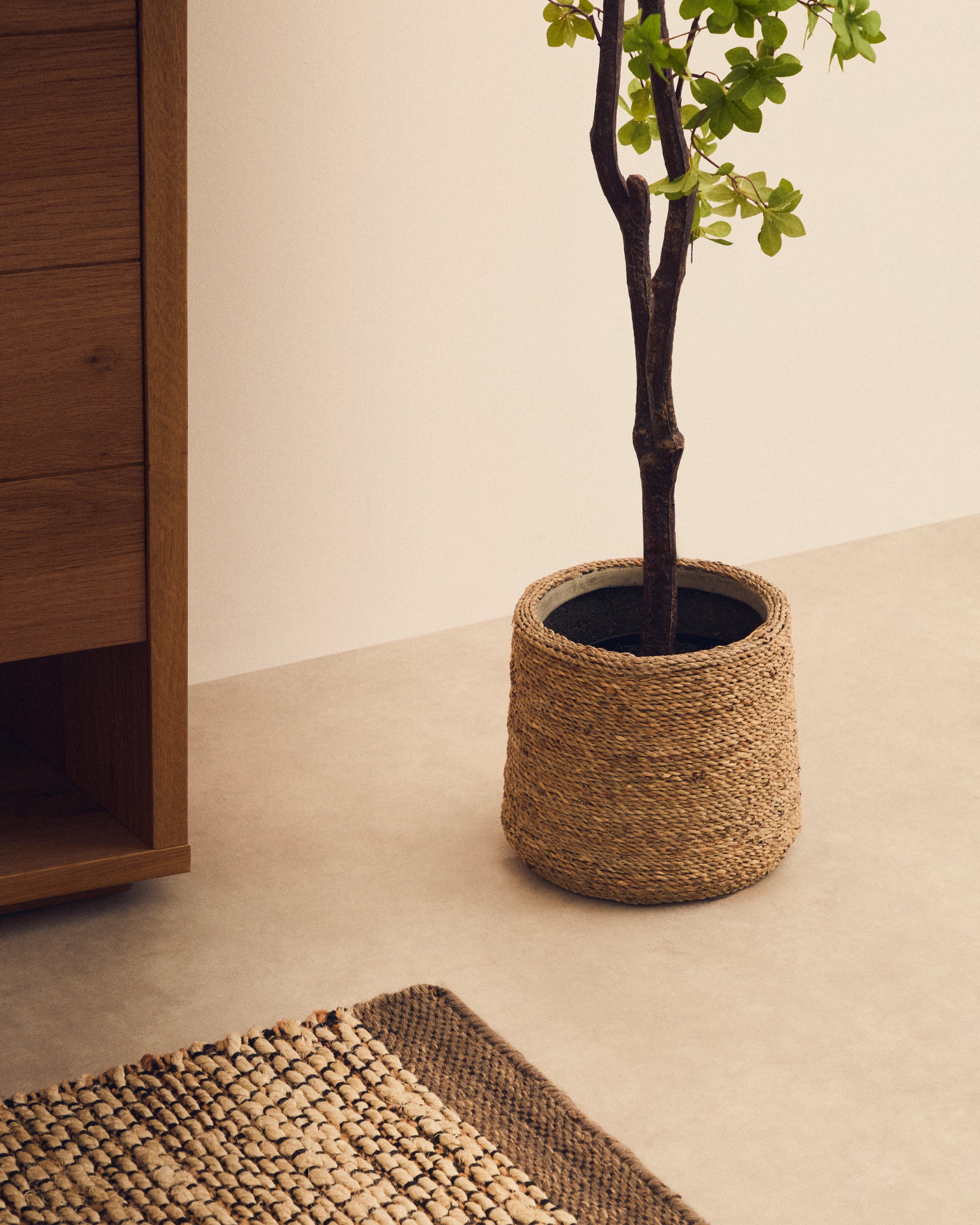 Sigal set of 2 cement plant pots in a natural finish, Ø 24 cm / 31 cm - Lifestyle