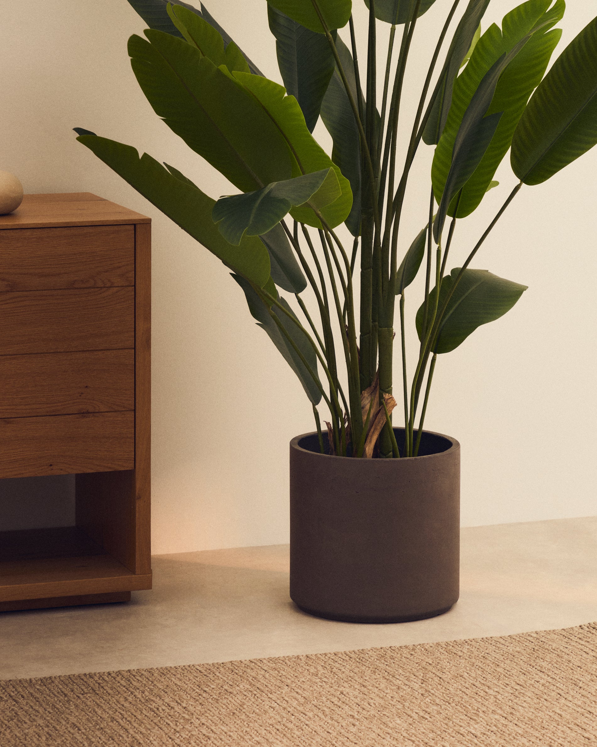 Sintina set of 3 grey cement and fiberglass plant pots Ø 23 cm / Ø 27.5 cm / 32 cm - Lifestyle