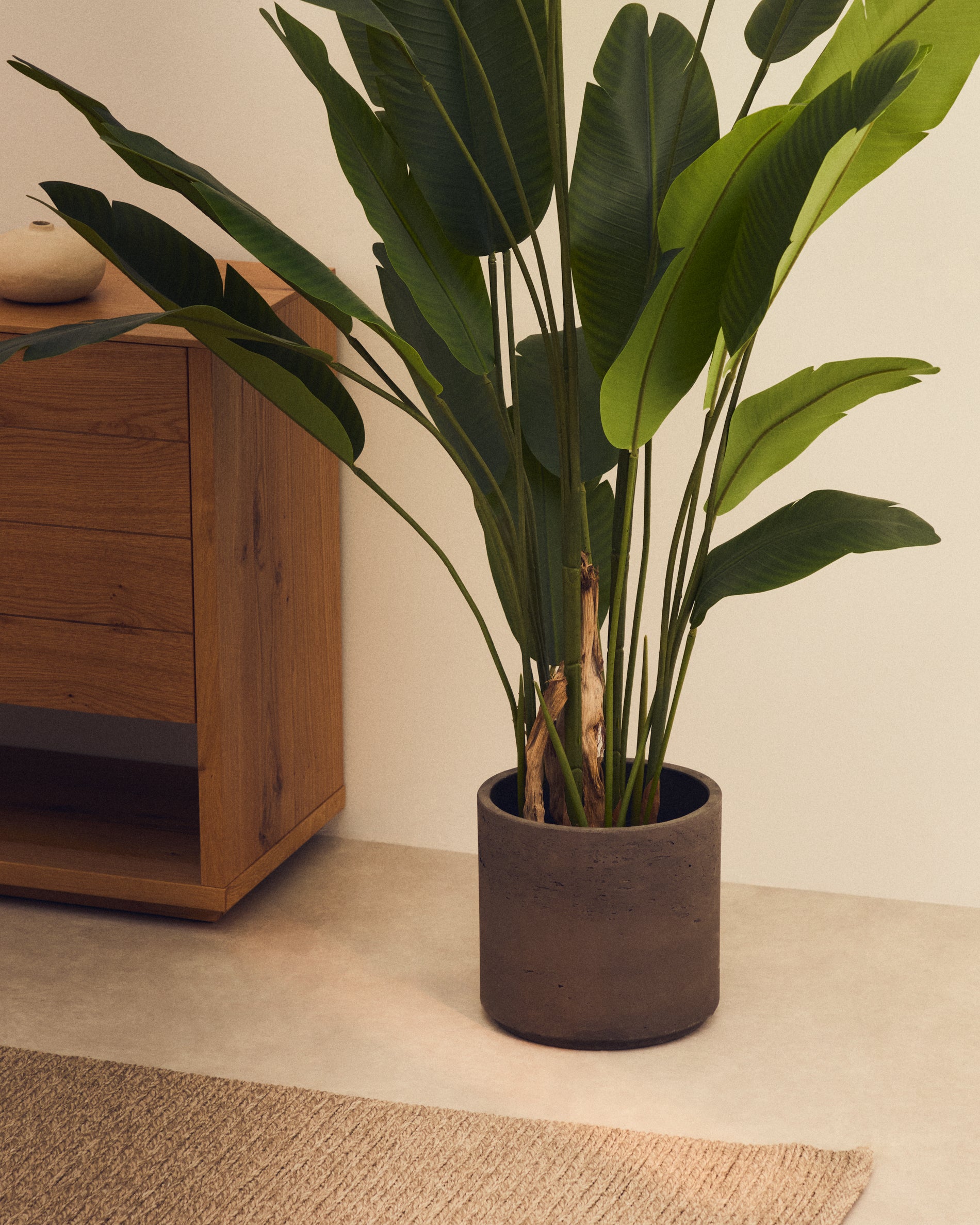 Sintina set of 3 grey cement and fiberglass plant pots Ø 23 cm / Ø 27.5 cm / 32 cm - Lifestyle