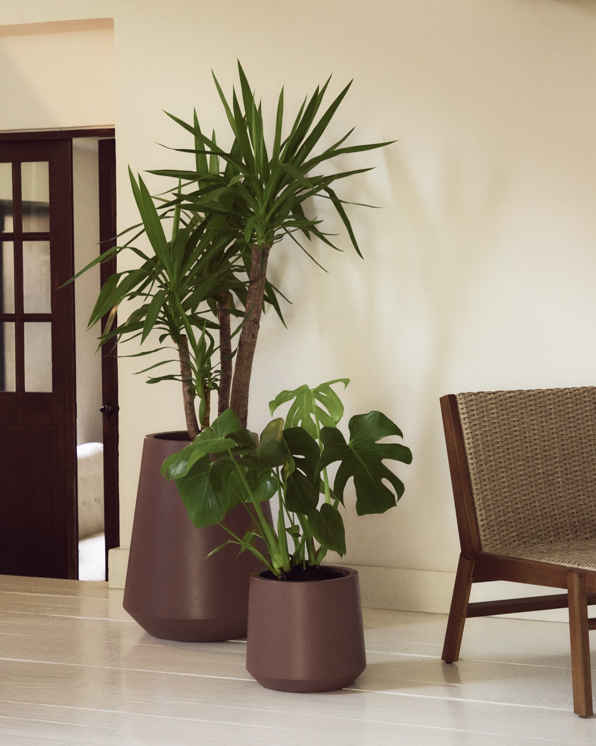 Calun maroon cement planter Ø 50cm - Lifestyle