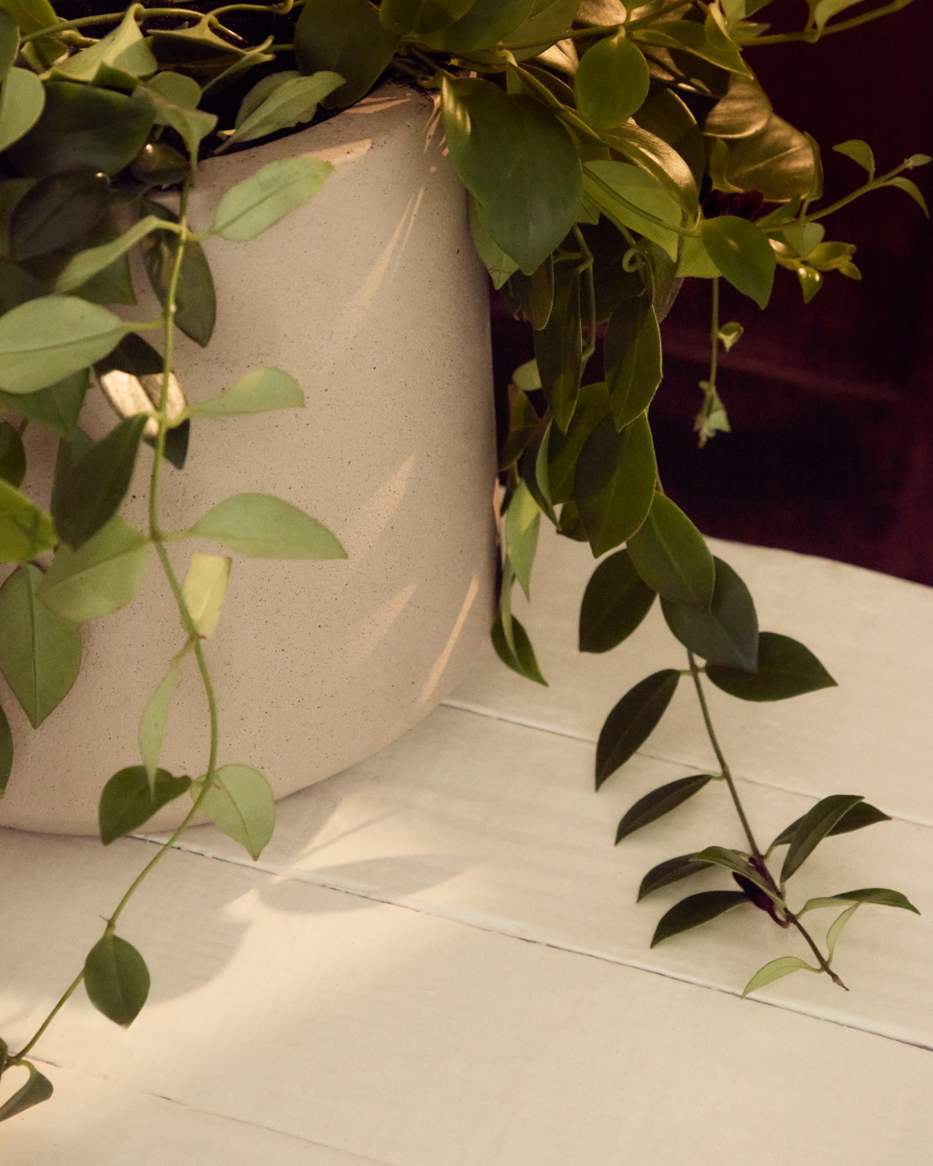 Calun beige cement planter Ø 32cm - Lifestyle