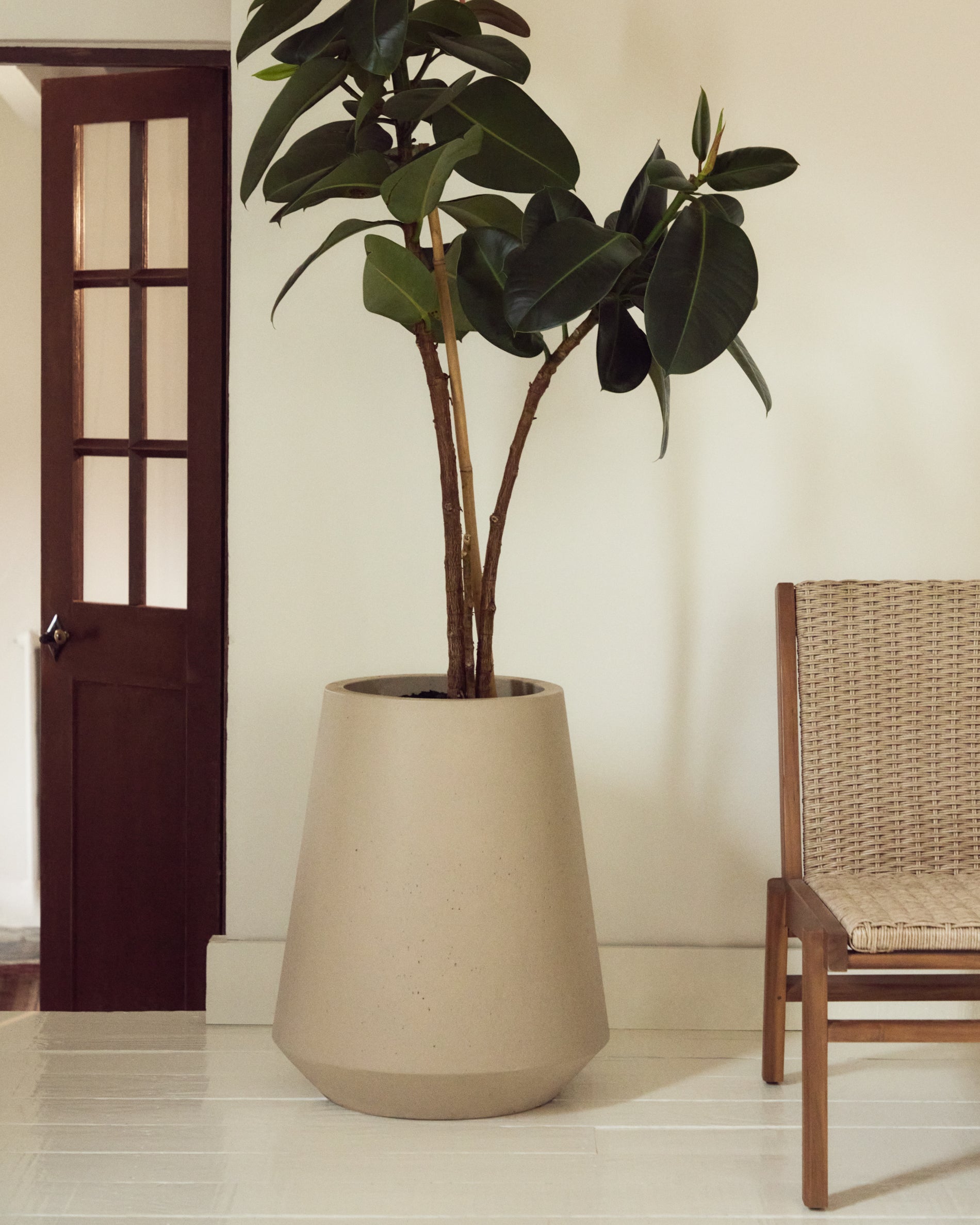 Calun beige cement planter Ø 50cm - Lifestyle