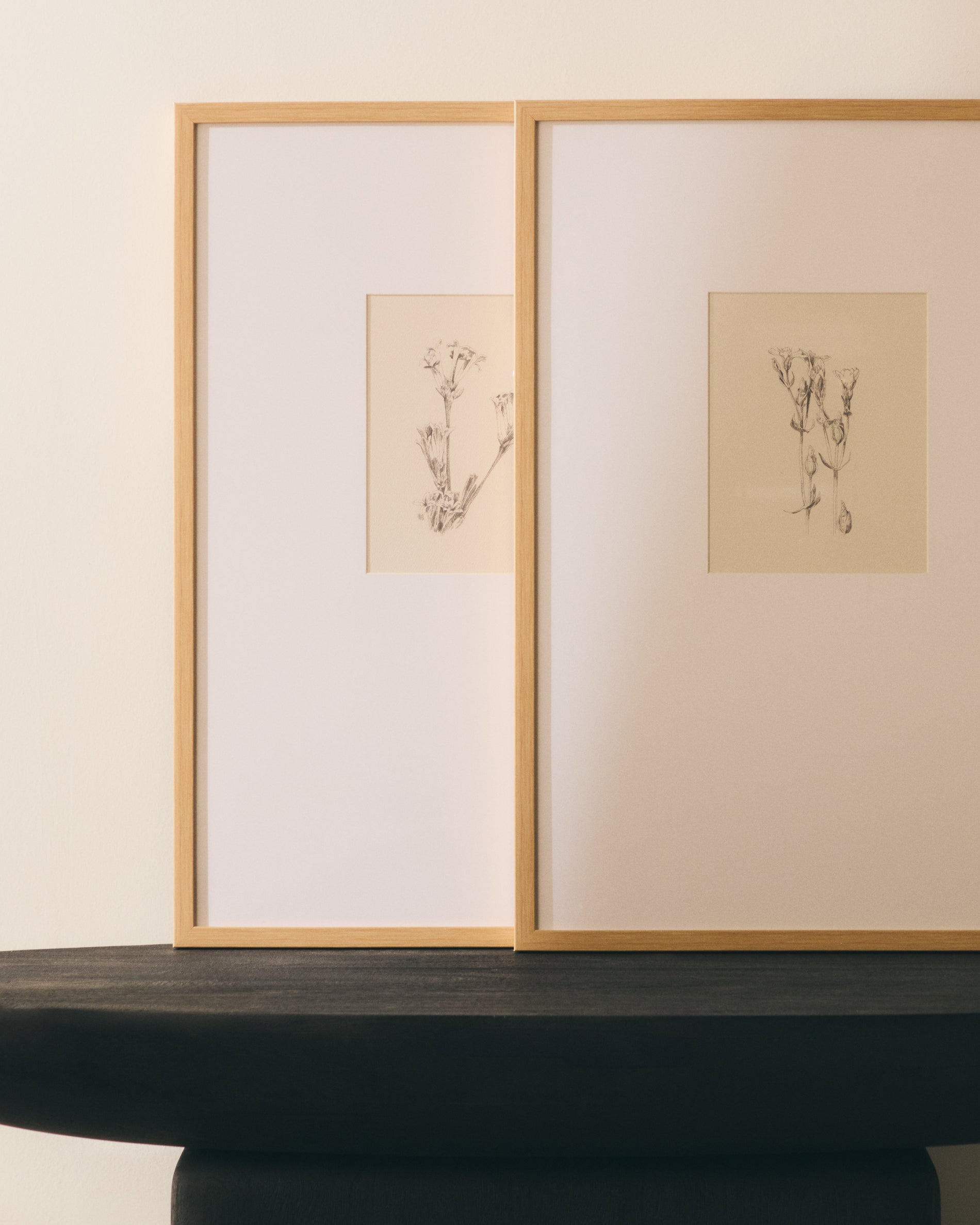 Lirena picture with botanical illustration 50 x 70cm - Lifestyle