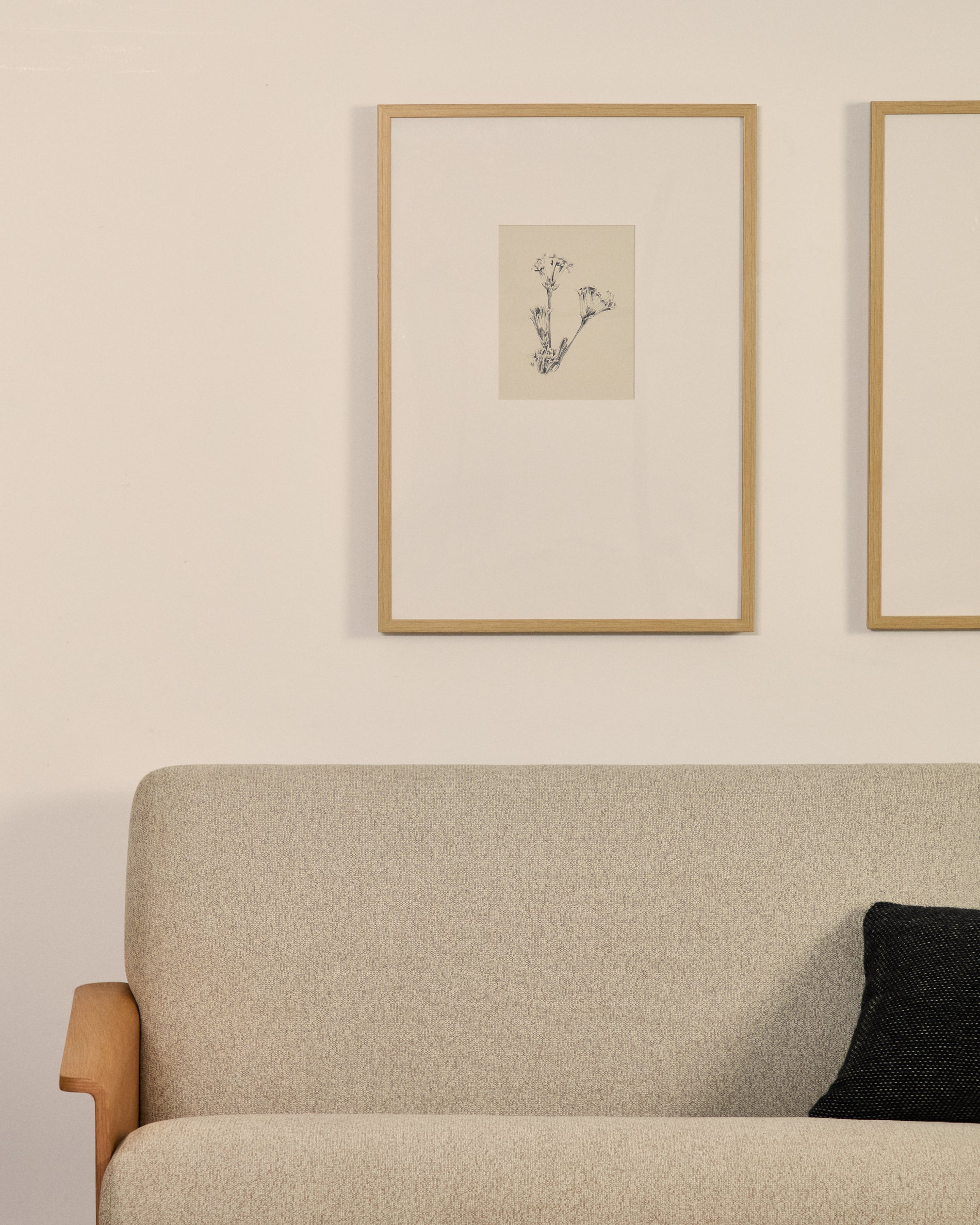 Lirena picture with botanical illustration 50 x 70cm - Lifestyle