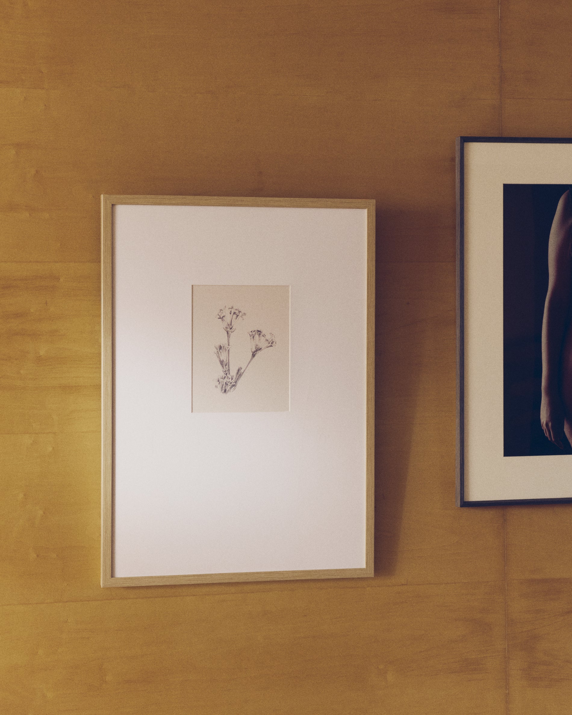 Lirena picture with botanical illustration 50 x 70cm - Lifestyle