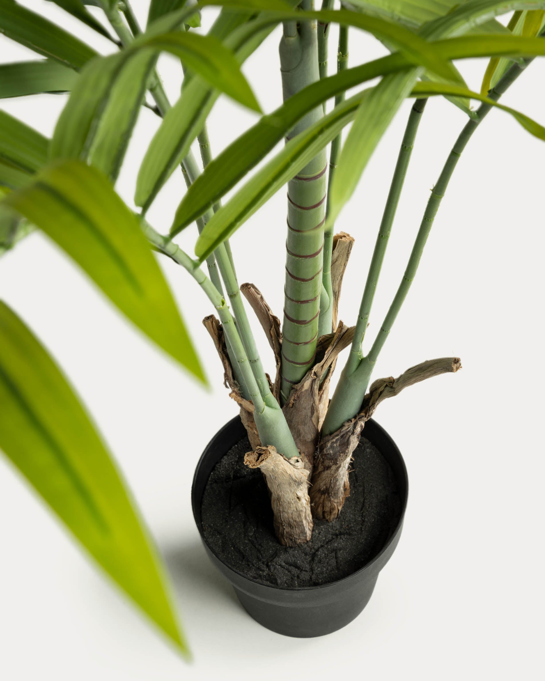 Artificial Bamboo Palmera 170 cm - Detail