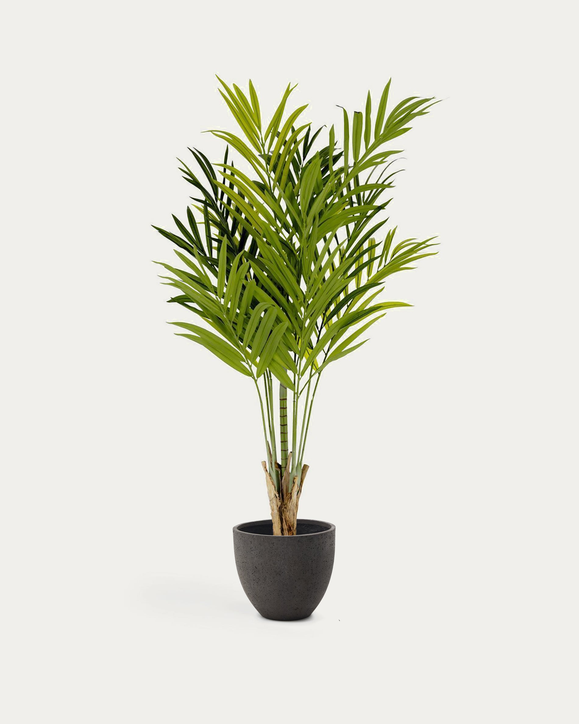 Artificial Bamboo Palmera 170 cm - Product View