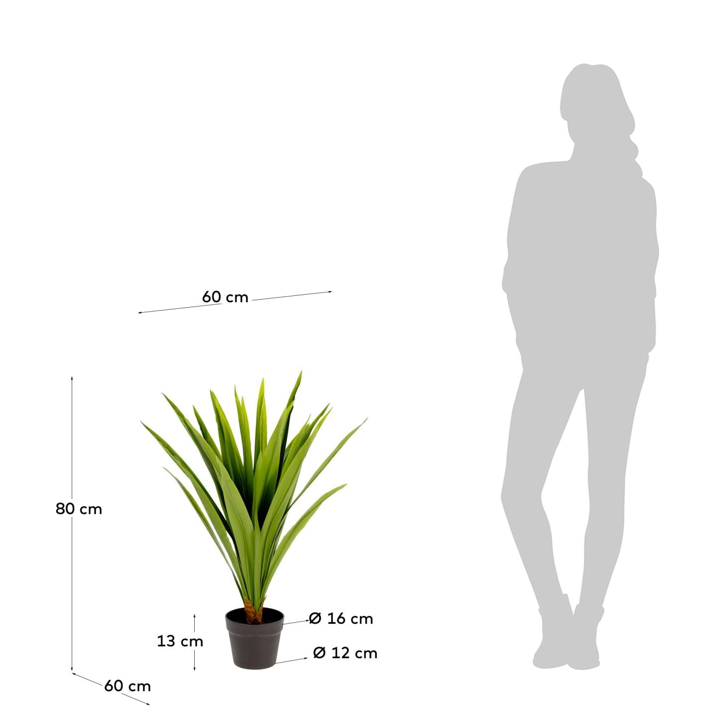 Yucca artificial plant - Measurements