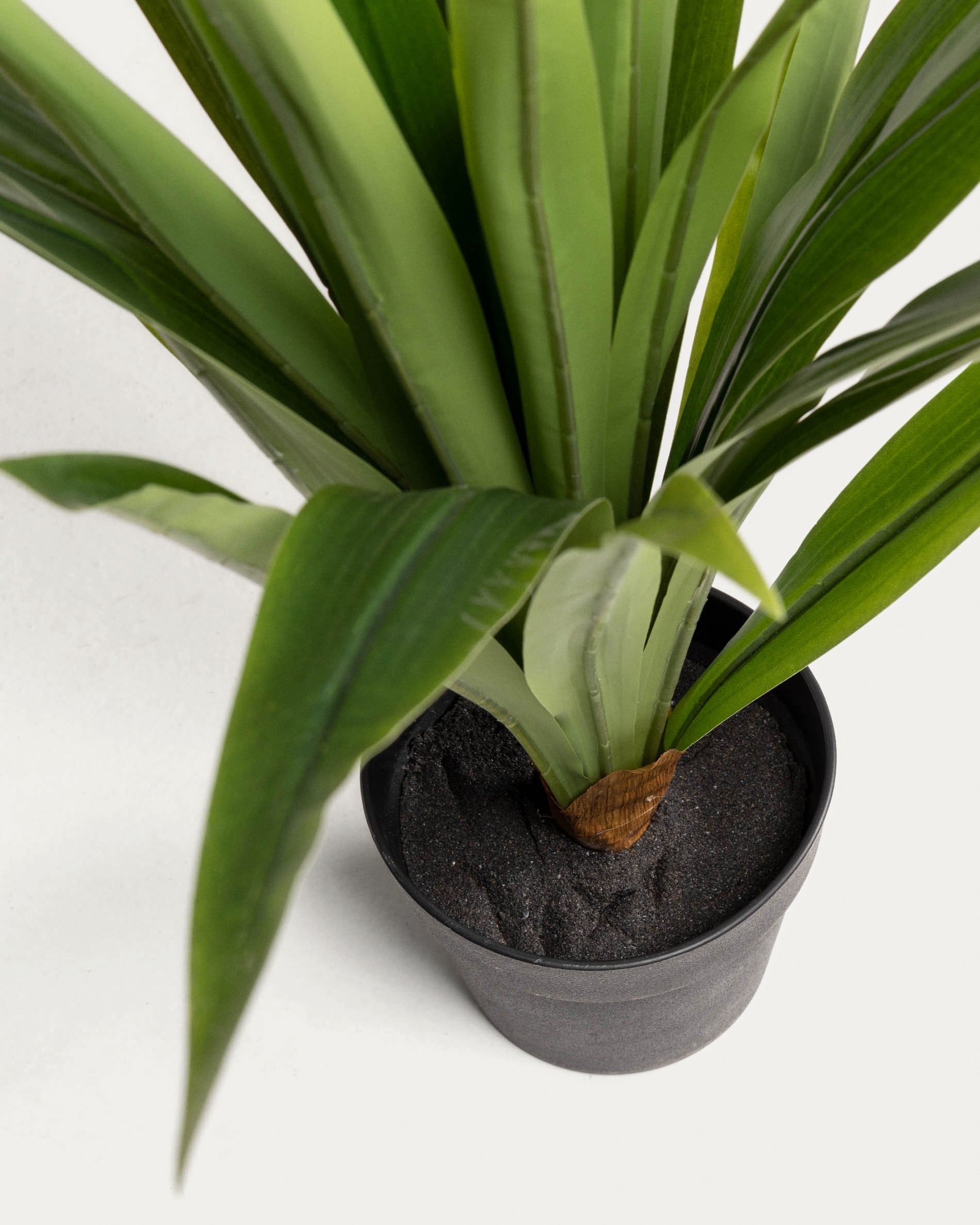 Yucca artificial plant - Detail