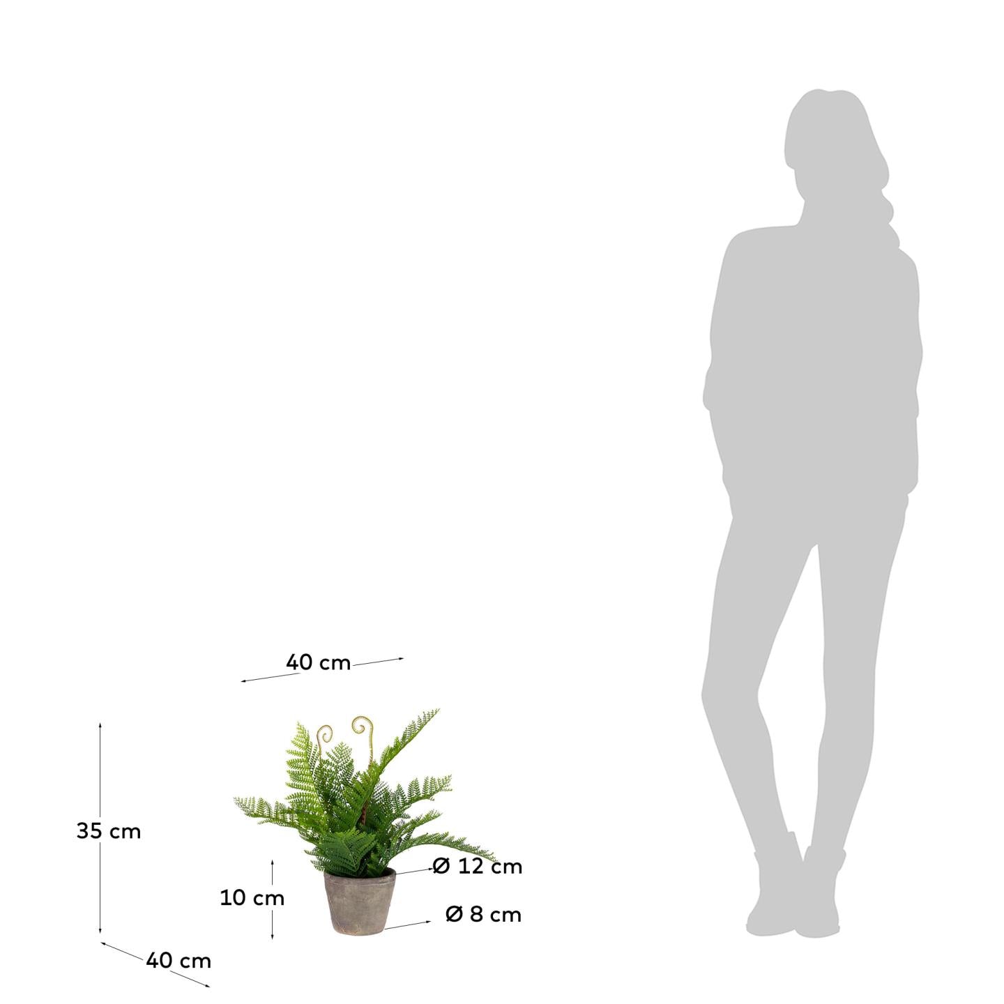 Filicopsida artificial plant - Measurements