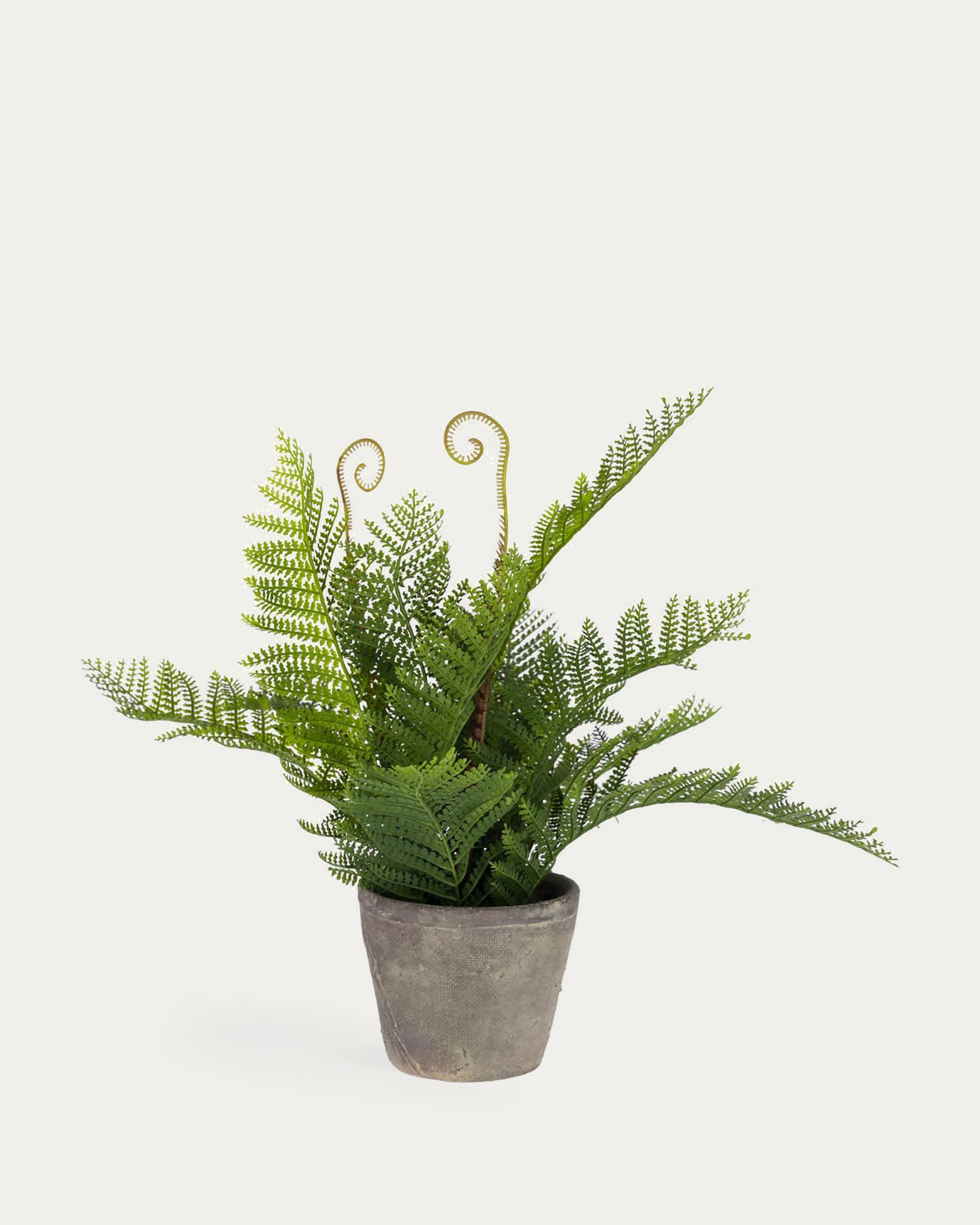 Filicopsida artificial plant - Product View