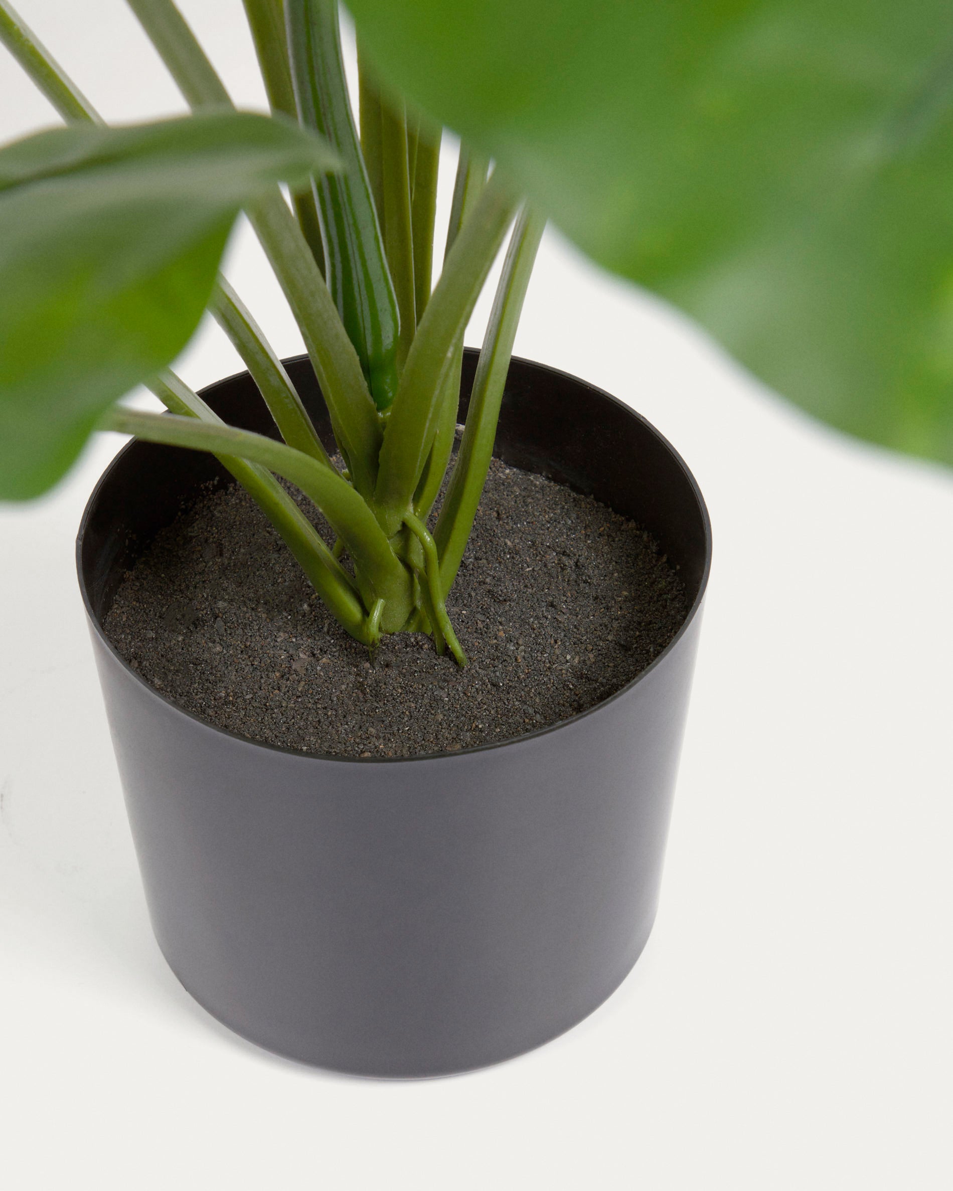 Artificial Alocasia Odora with black plantpot 57 cm - Detail