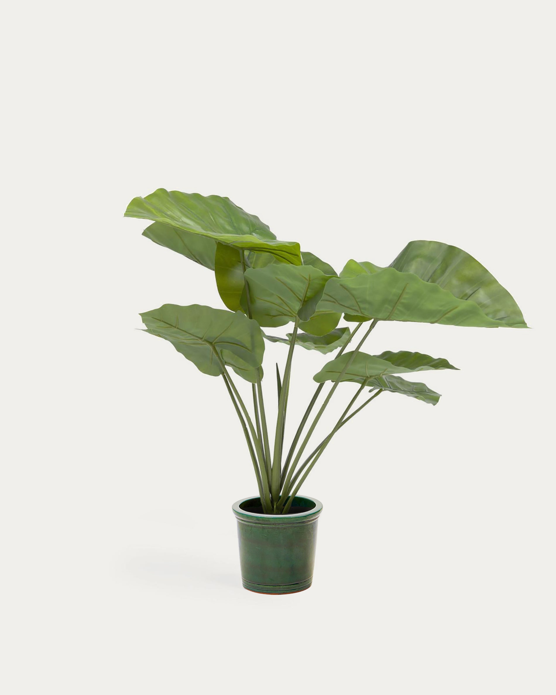 Artificial Alocasia Odora with black plantpot 57 cm - Product View