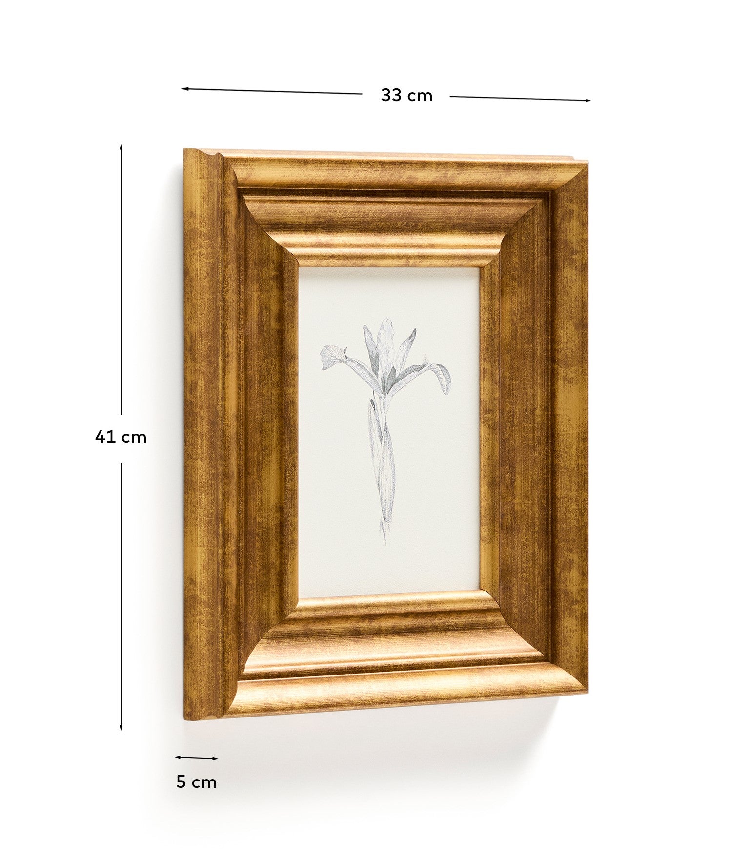 Yalira picture with botanical illustration 32.8 x 70cm - Measurements