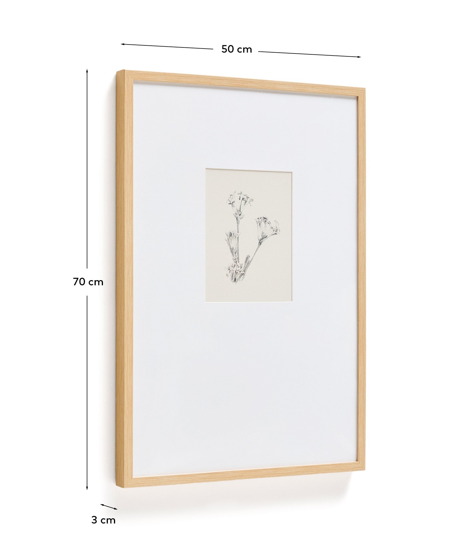 Lirena picture with botanical illustration 50 x 70cm - Measurements
