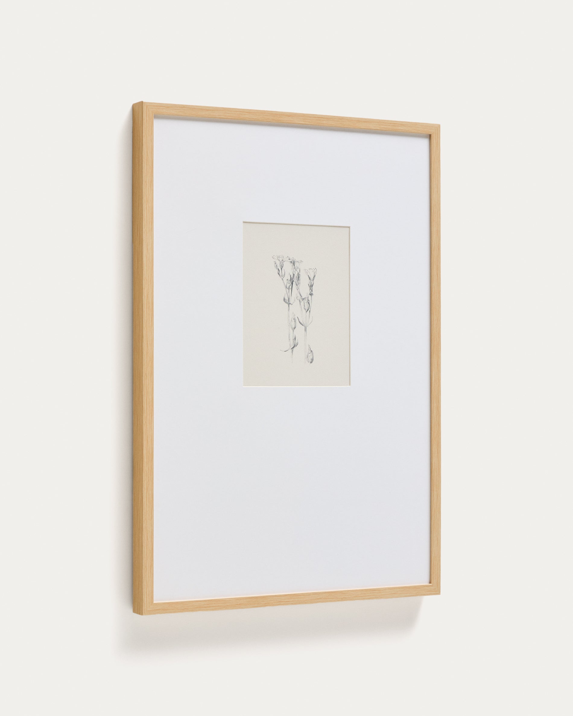 Lirena picture with botanical illustration 50 x 70cm - Product View