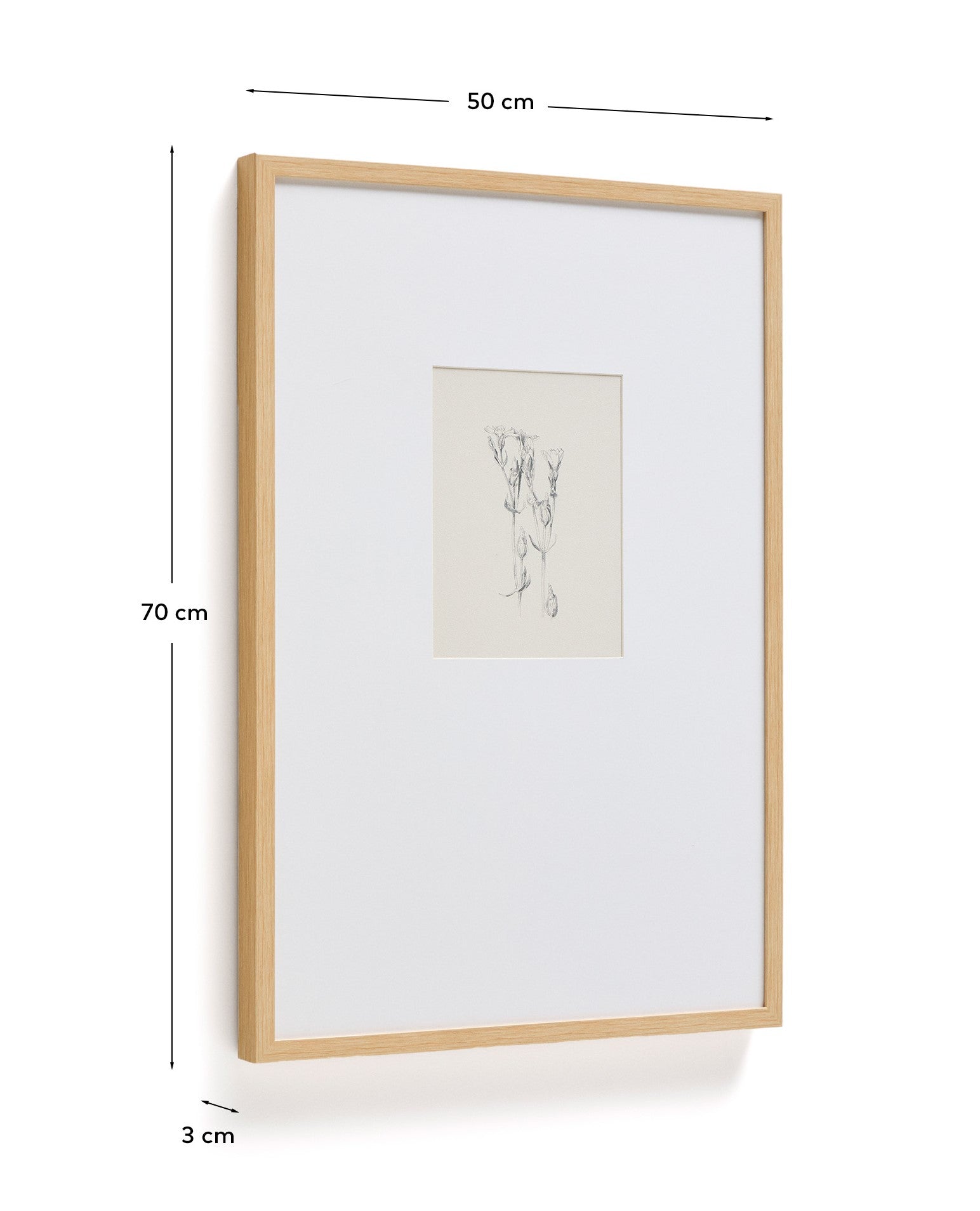 Lirena picture with botanical illustration 50 x 70cm - Measurements