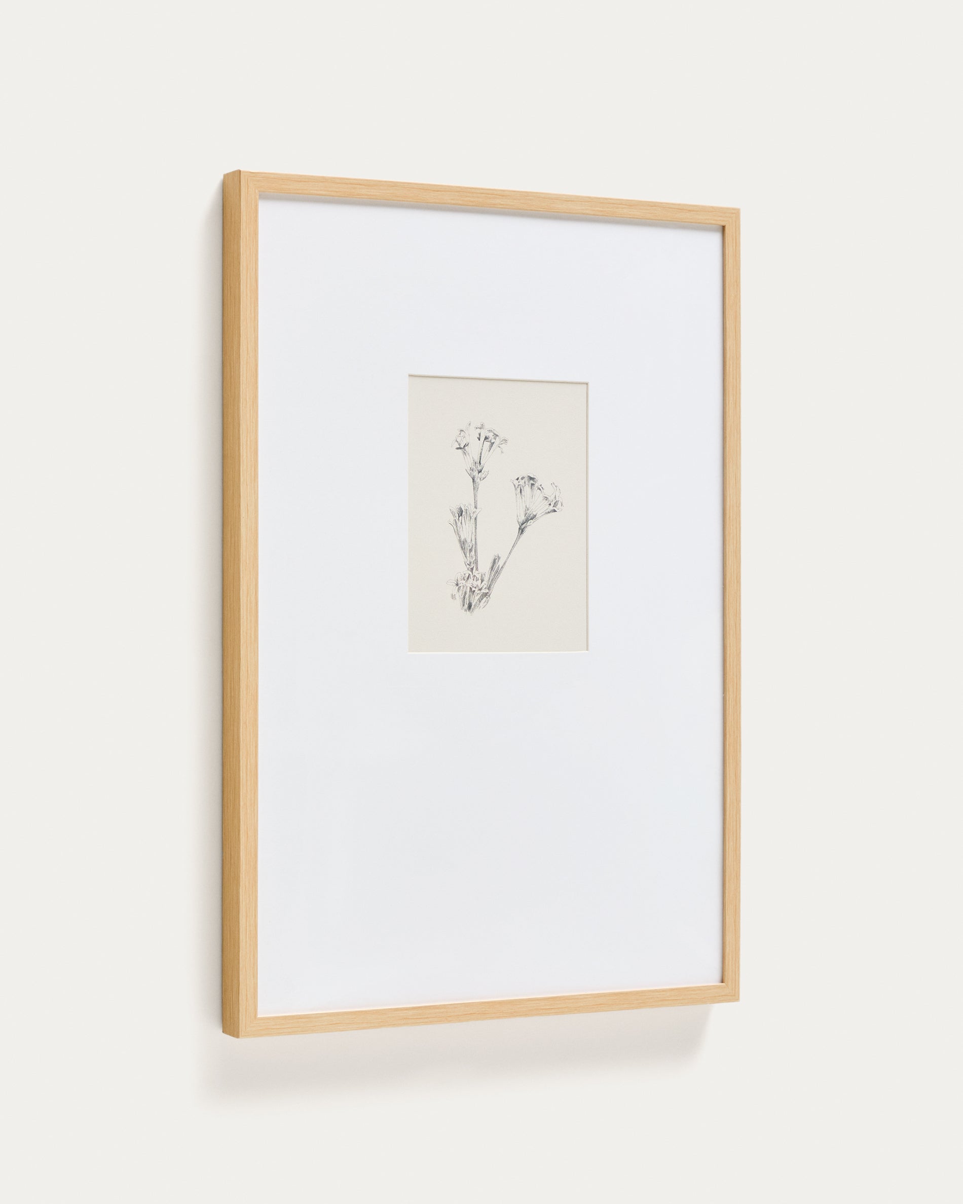 Lirena picture with botanical illustration 50 x 70cm - Product View