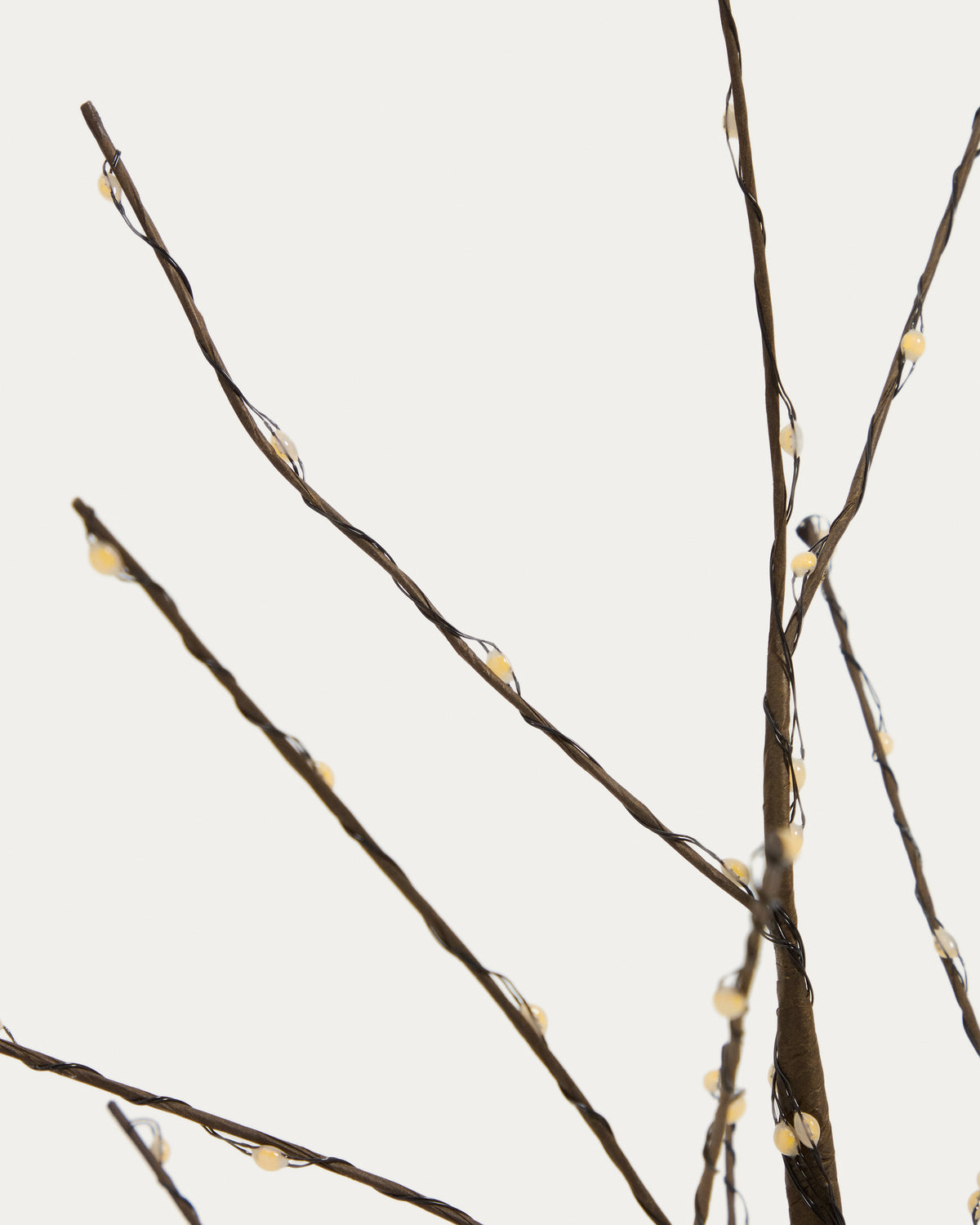 D01682PL09_1D02