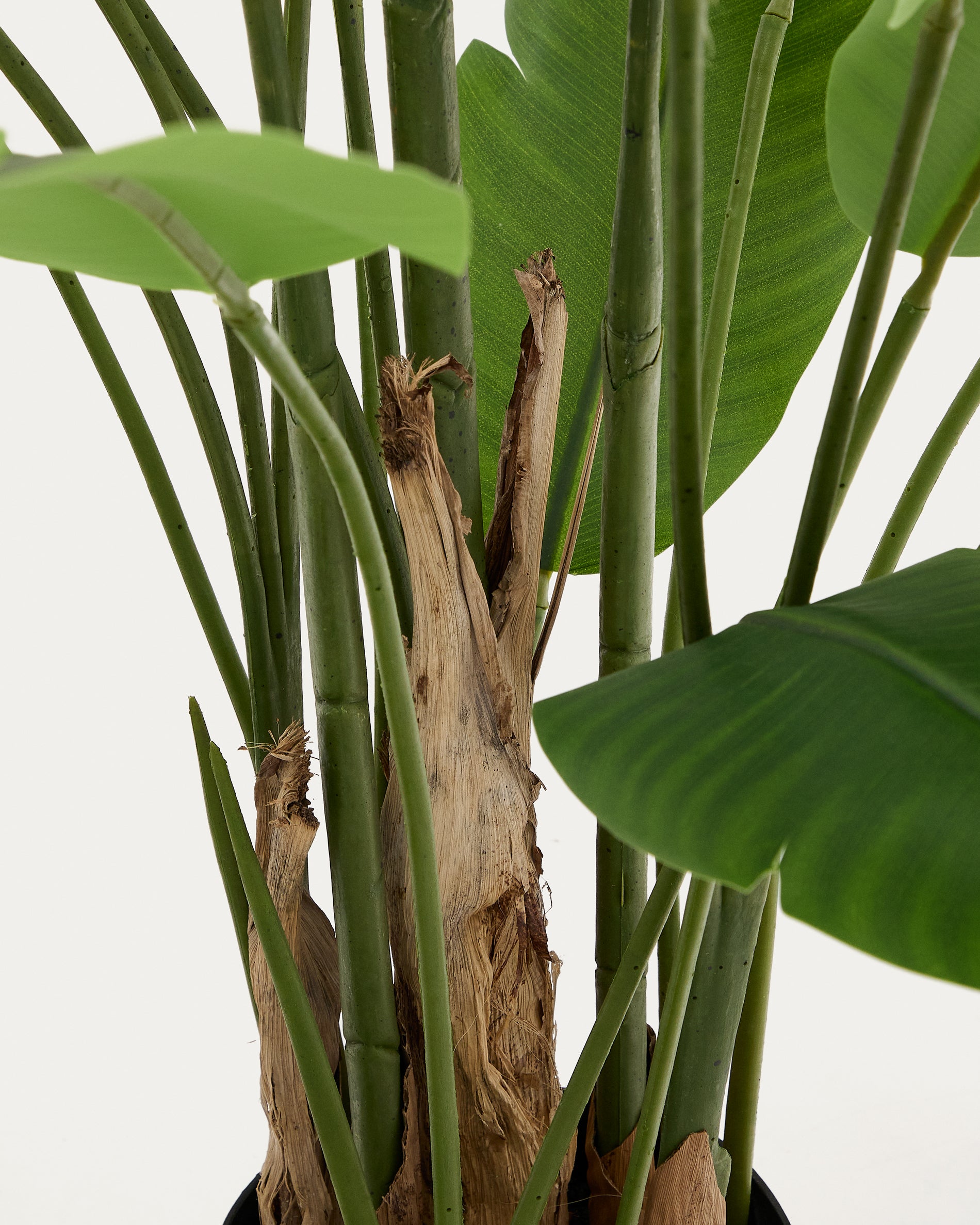 Artificial Banana plant in black pot 210 cm - Detail