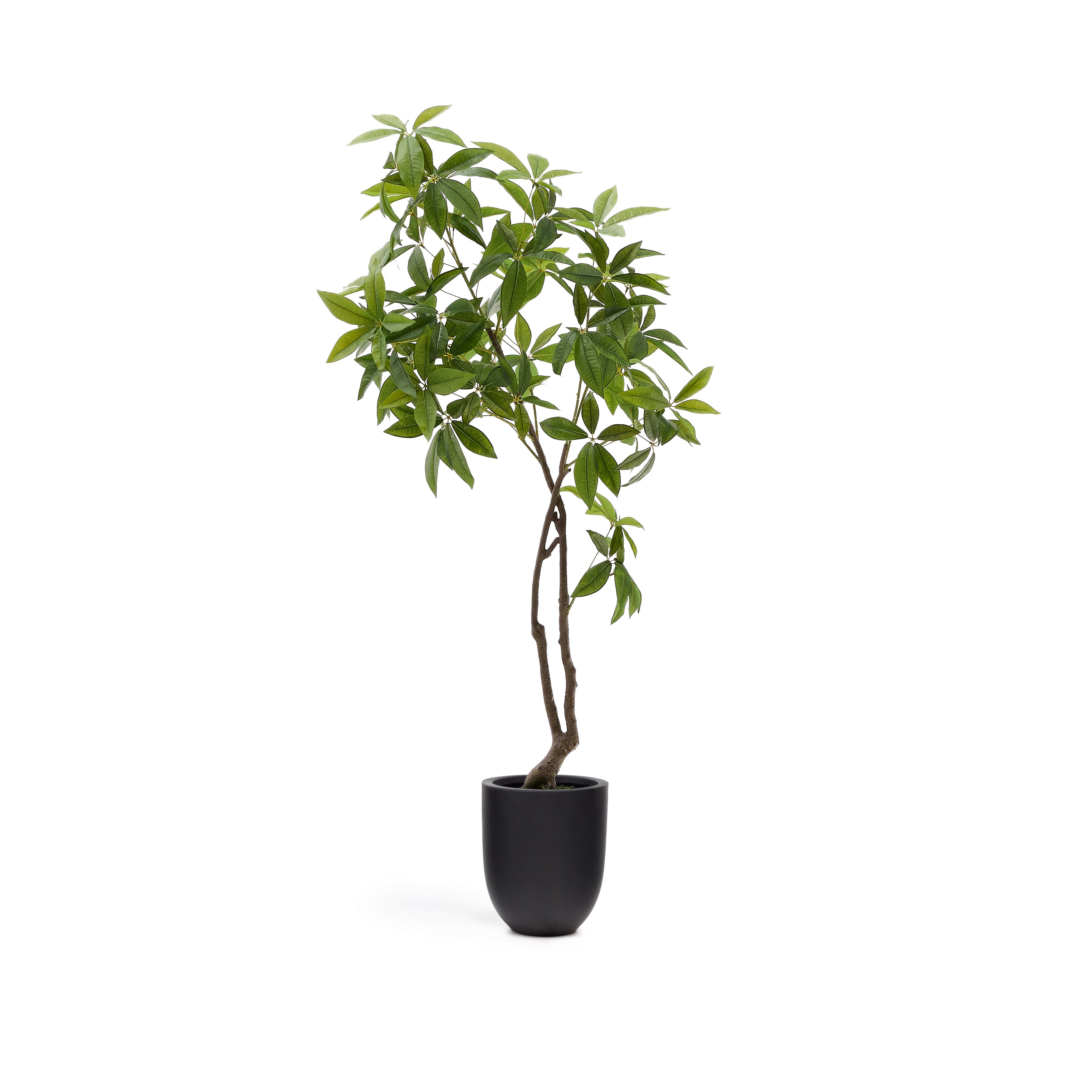 Artificial Pachira tree in black pot 180 cm - Product Image