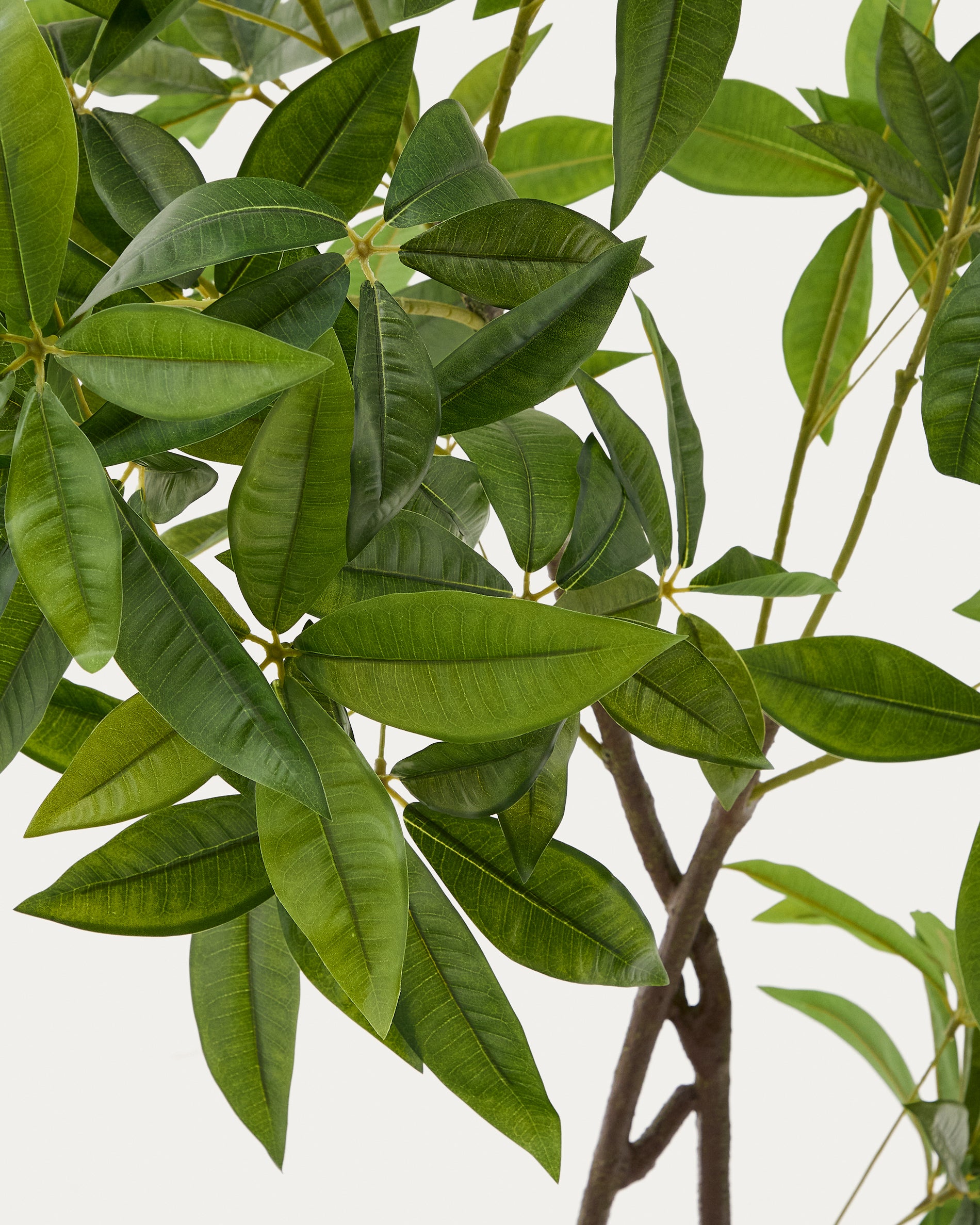 Artificial Pachira tree in black pot 180 cm - Detail