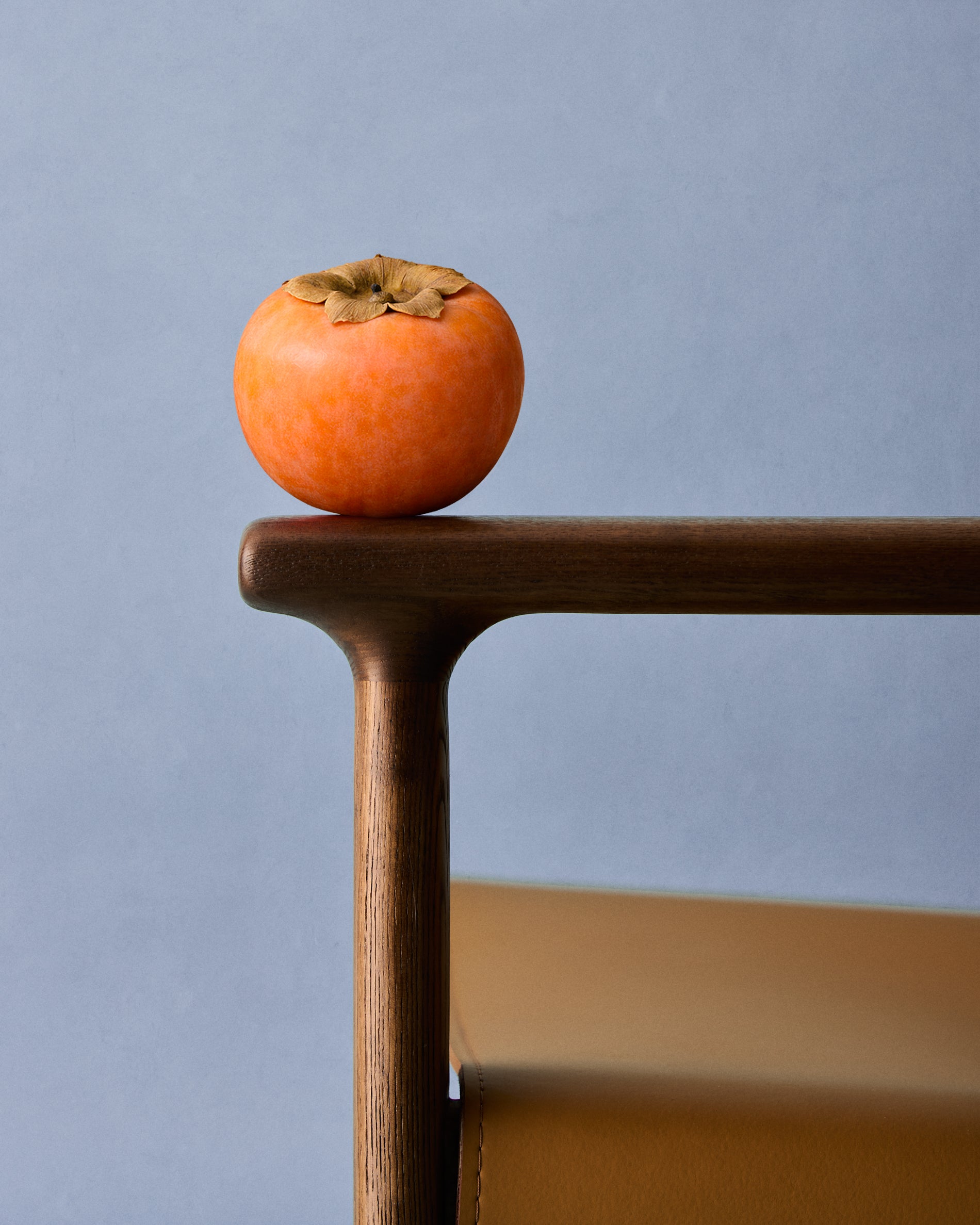 HcxBDoIwEEDRu8yadNoSxHTnGVg6hlQYoEqhoZWFpHeXuP15-QfErQMDU0ohGkLCXnjunRVvu_O0ehbd6gmdtyMTfsK82p5waF9hJNxVXVdK60pfCa1_Ol46joQ3fWmUKlspS3FCKGCYE5j7ARuDOSCAGewcuYD_t3HfM1dSypwf-Qc