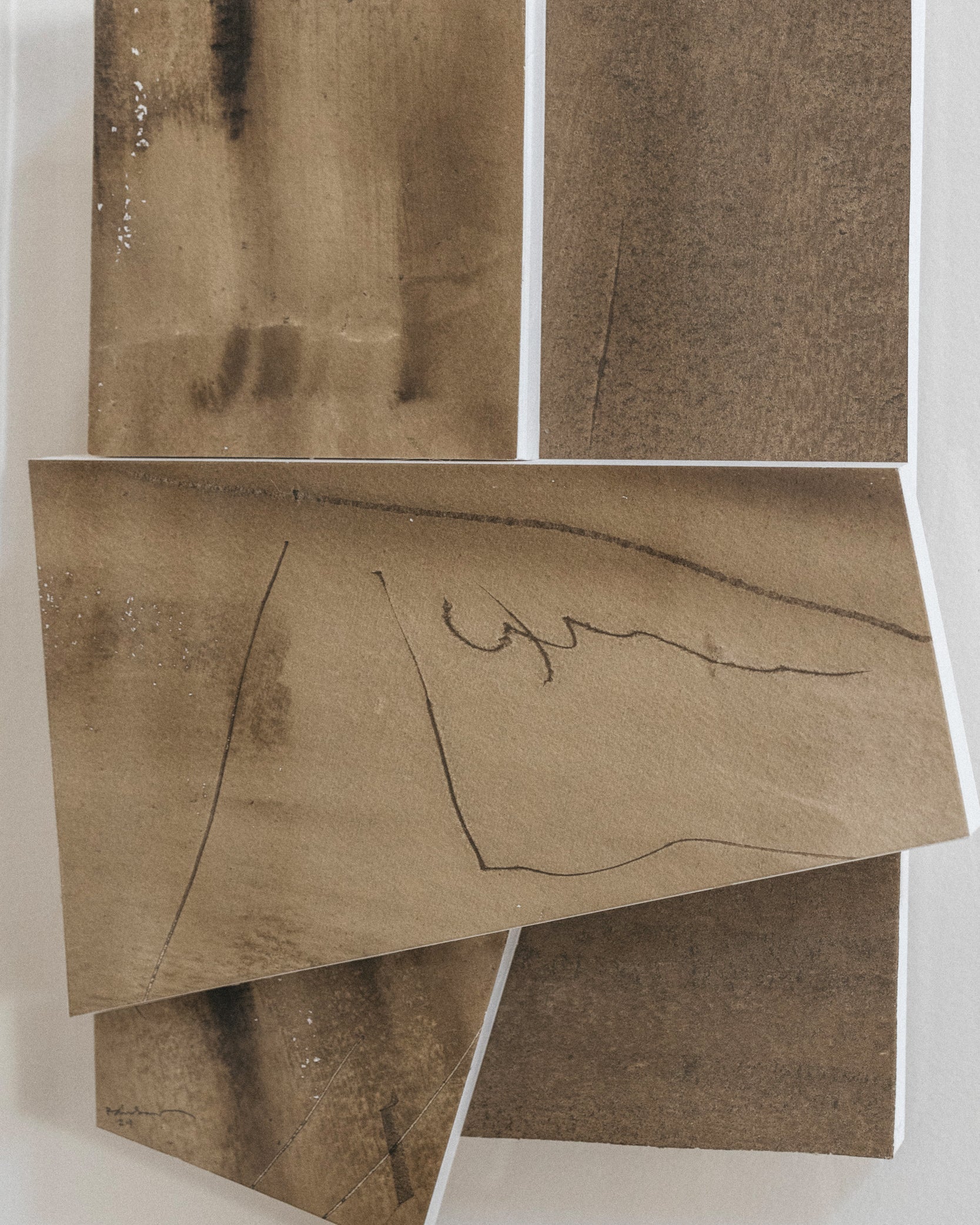 Tectonía Aguada Áreas - Detail