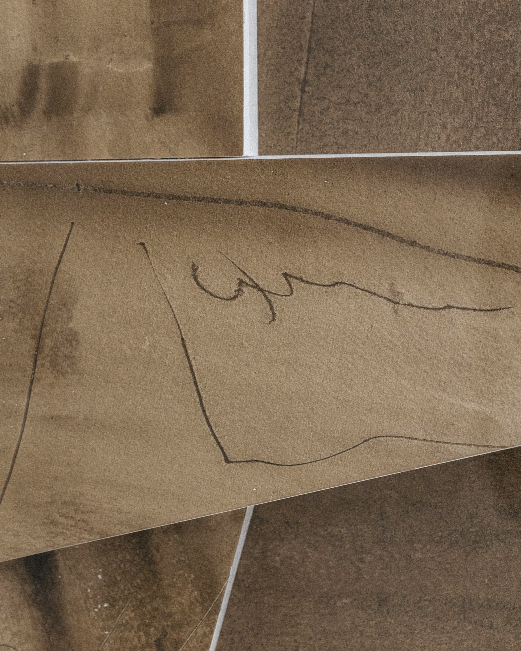 Tectonía Aguada Áreas - Detail