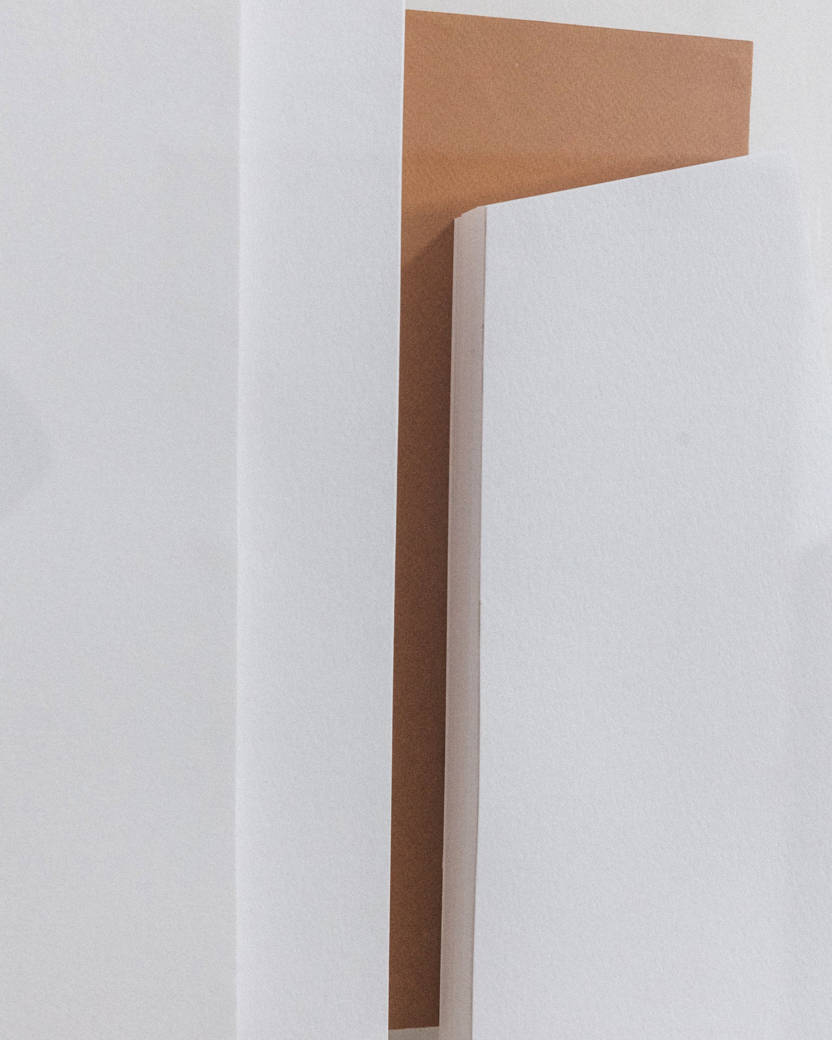 Tectonía Diatréfica Trapecio - Detail
