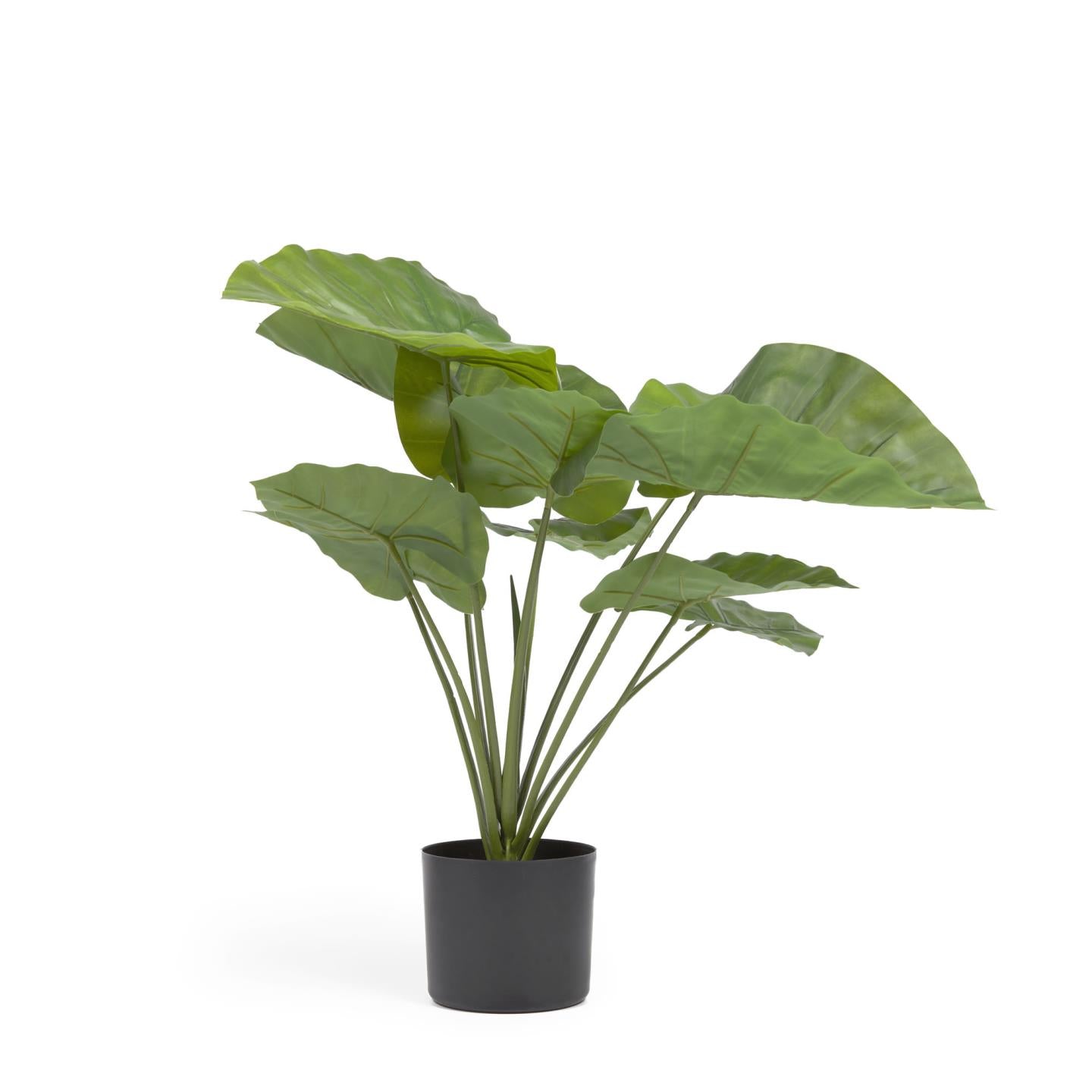 Fekete Alocasia Odora műnövény fekete cseréppel 57 cm