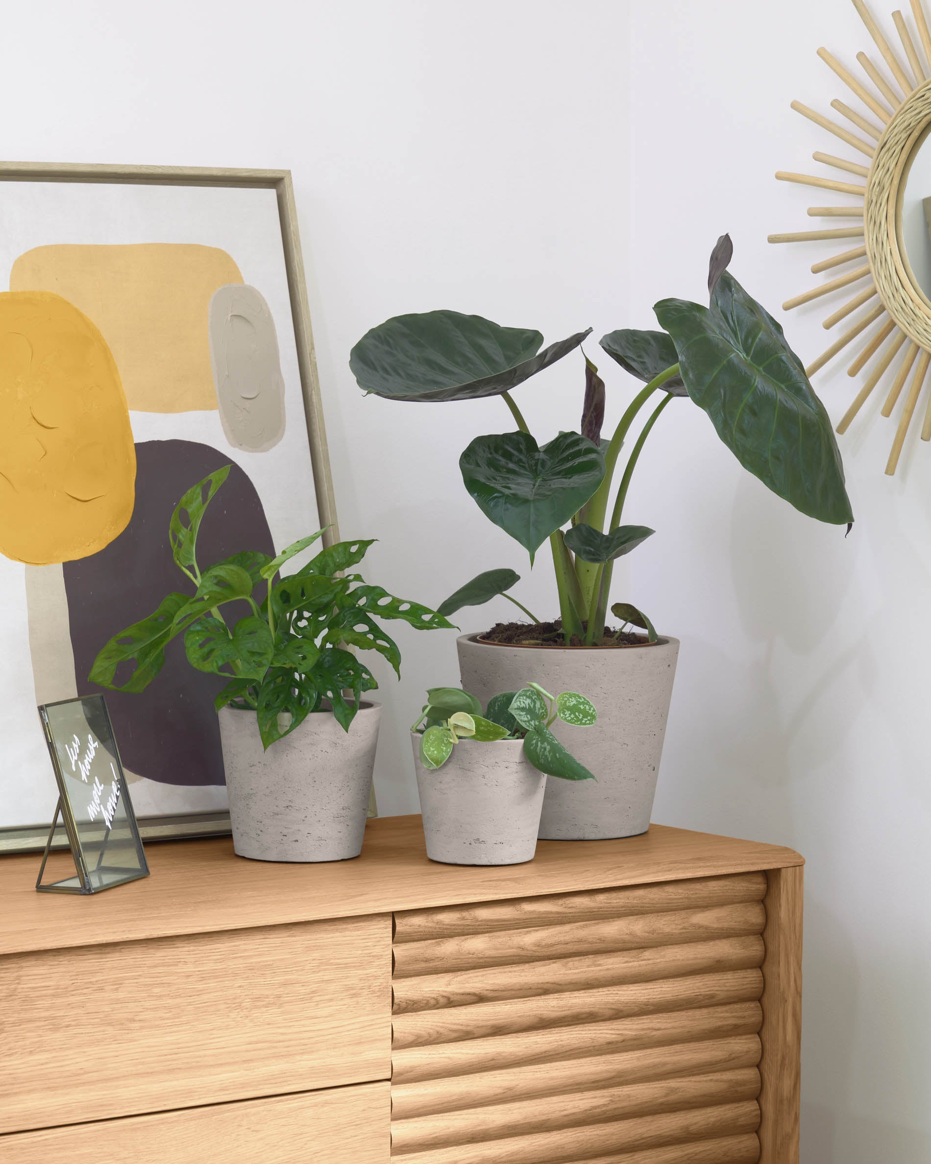 Low set of 3 planters grey Ø 23,5 cm / Ø 16,5 cm / Ø 14 cm - Lifestyle