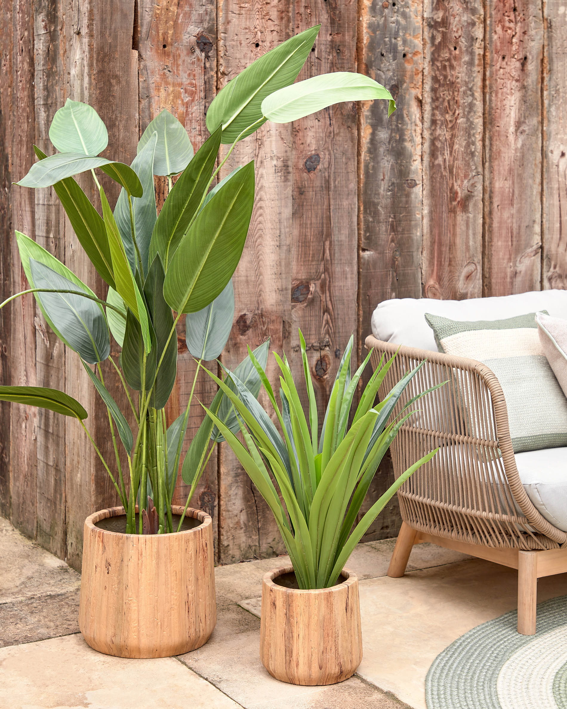 Yucca artificial plant - Lifestyle