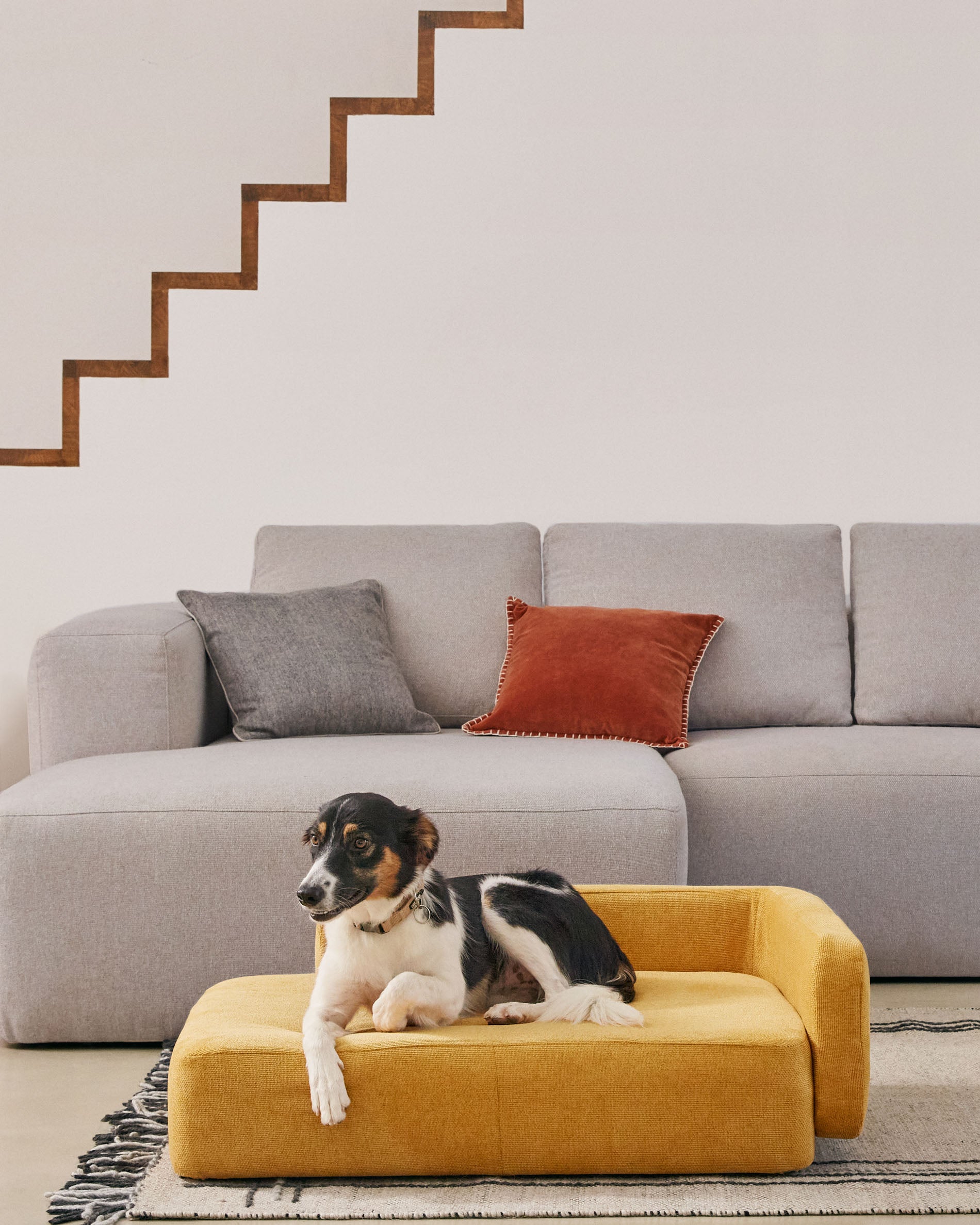 Bowie cover for large bed for pets in mustard, 73 x 98 cm - Lifestyle