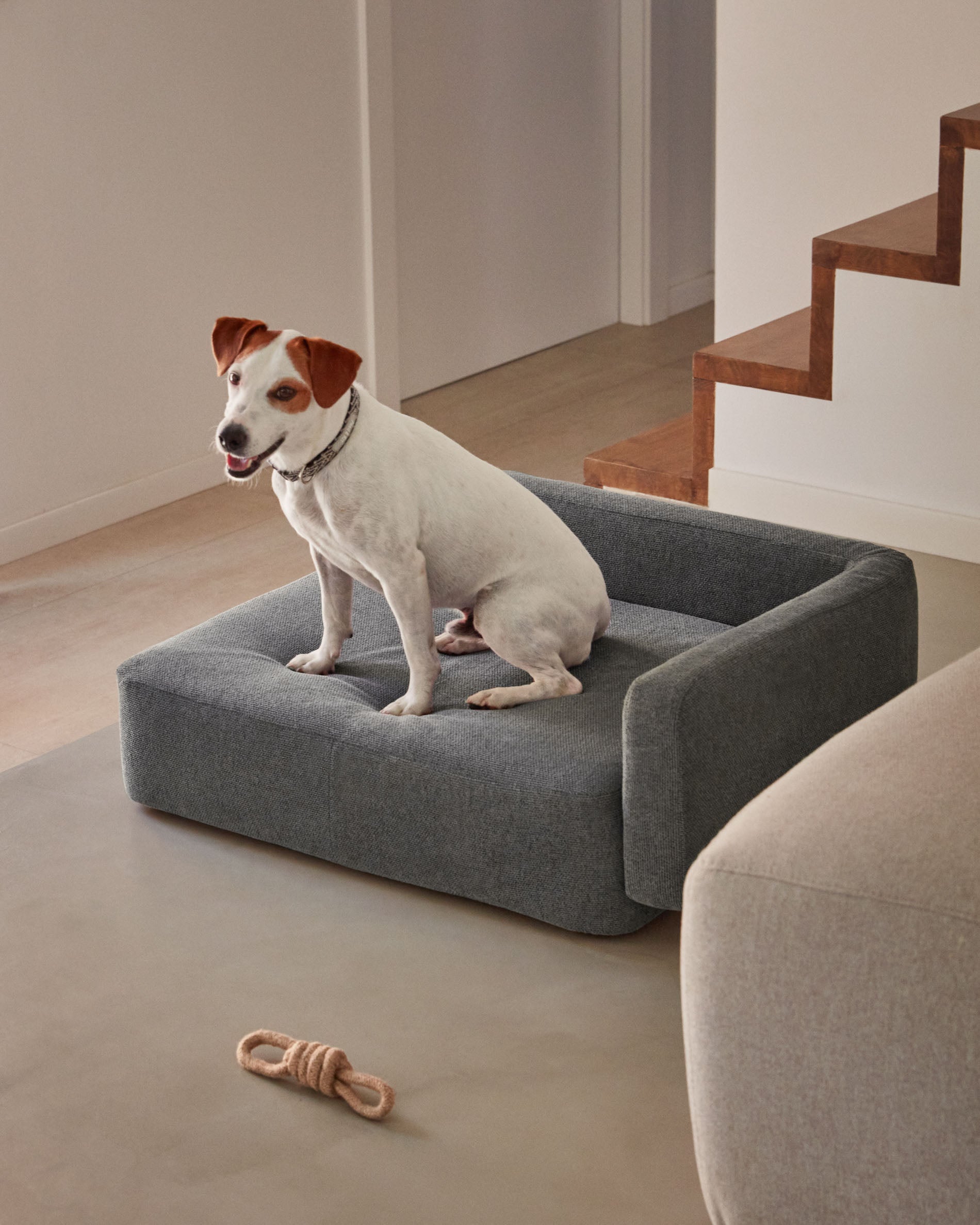 Bowie small bed for pets in dark grey 63 x 80 cm - Lifestyle