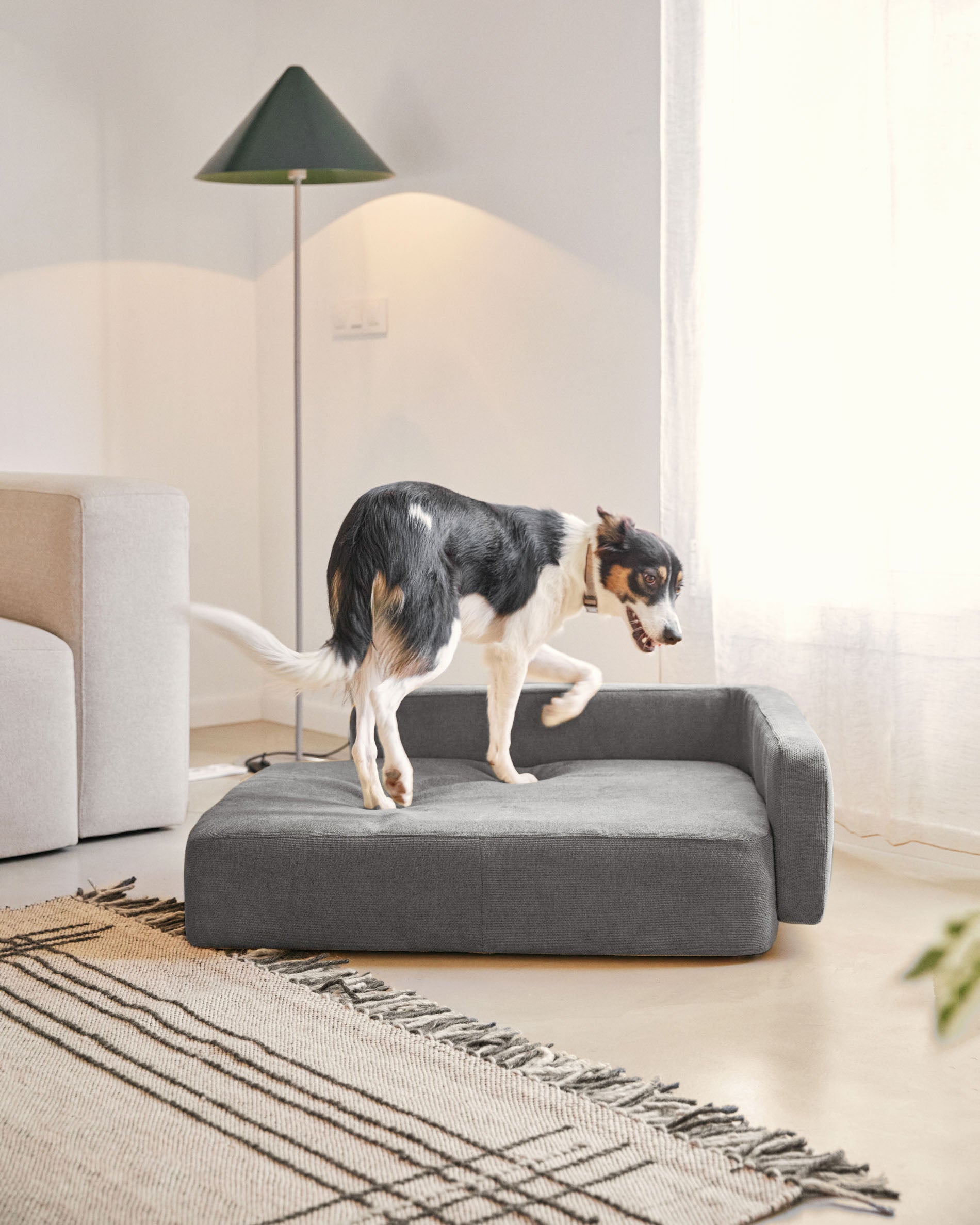 Bowie cover for large bed for pets in dark grey 73 x 98 cm - Lifestyle