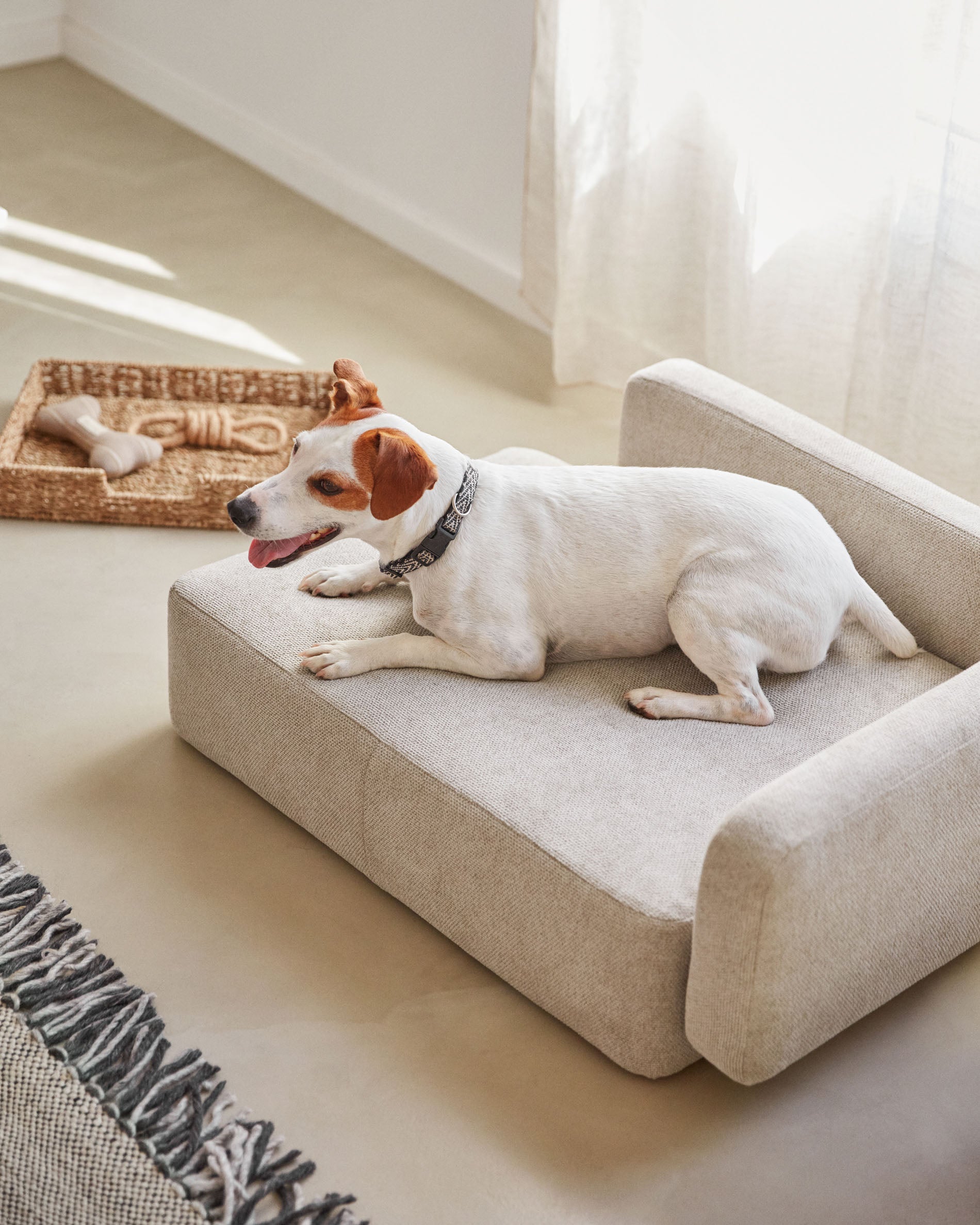 Bowie small bed for pets in beige 63 x 80 cm - Lifestyle