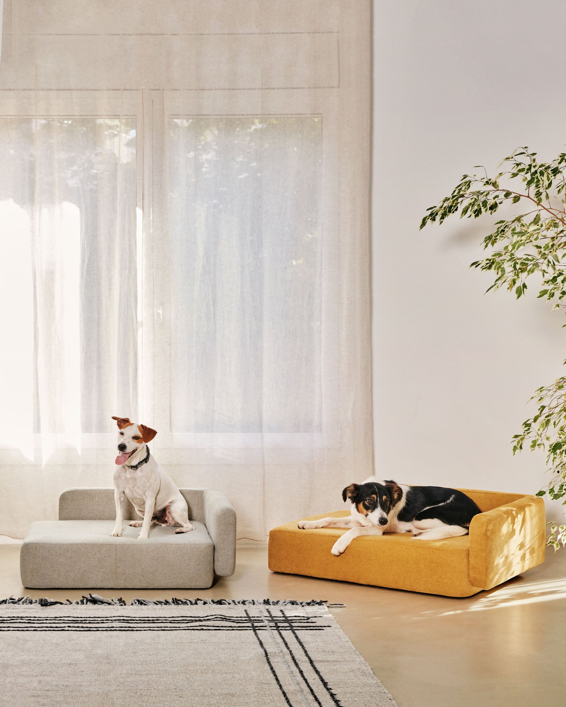 Bowie cover for large bed for pets in mustard, 73 x 98 cm - Lifestyle