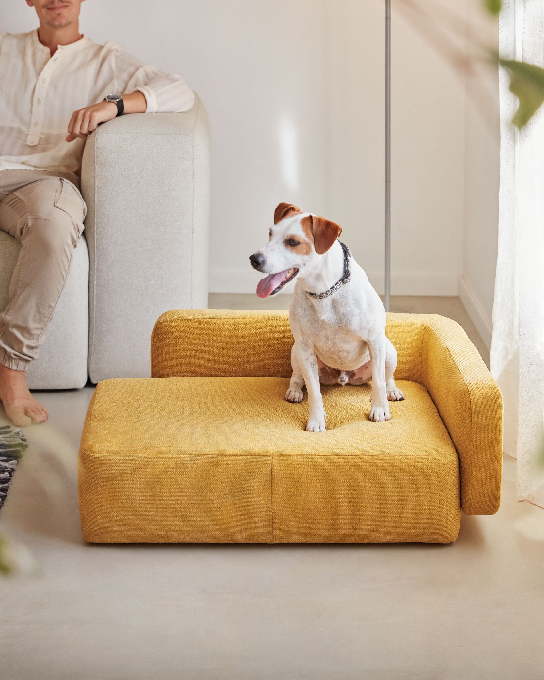 Bowie cover for small bed for pets in mustard, 63 x 80 cm - Lifestyle