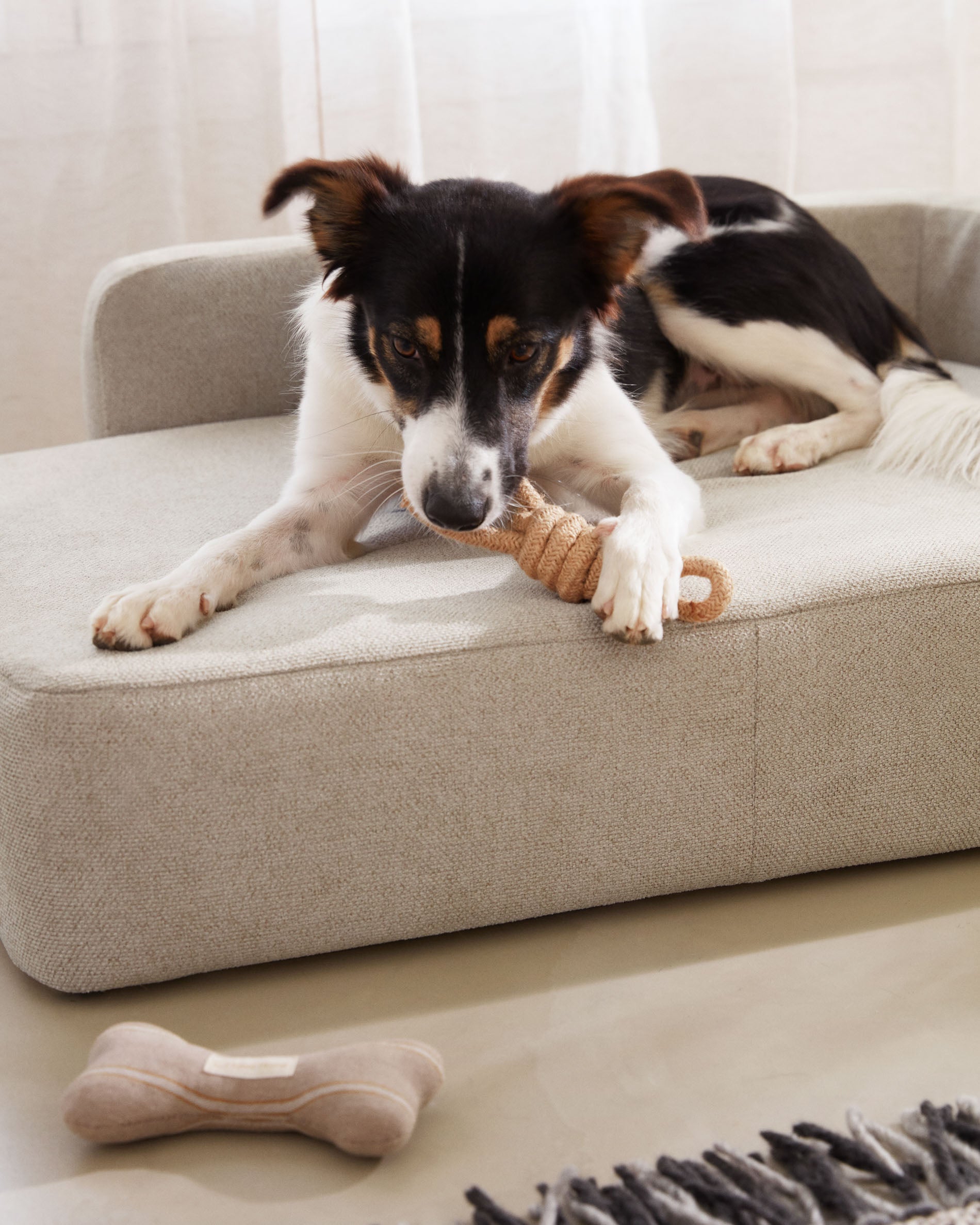 Bowie large bed for pets in beige 73 x 98 cm - Lifestyle