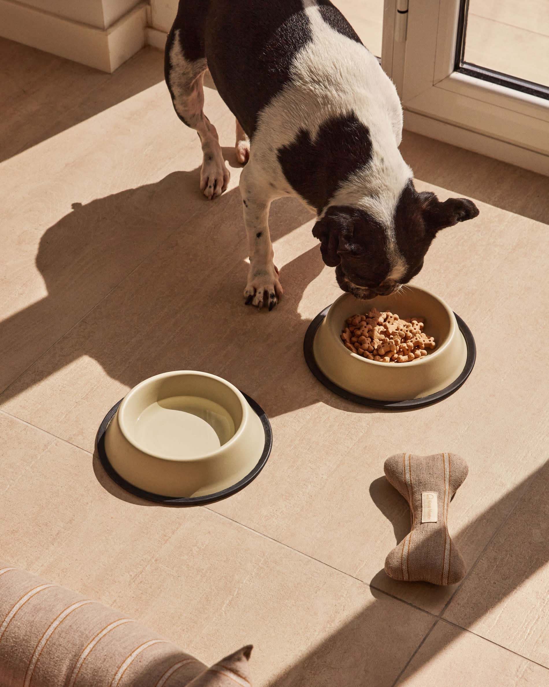 Dalitso set of 2 large food and water bowls for pets, in beige anti-rust steel, Ø 25 cm