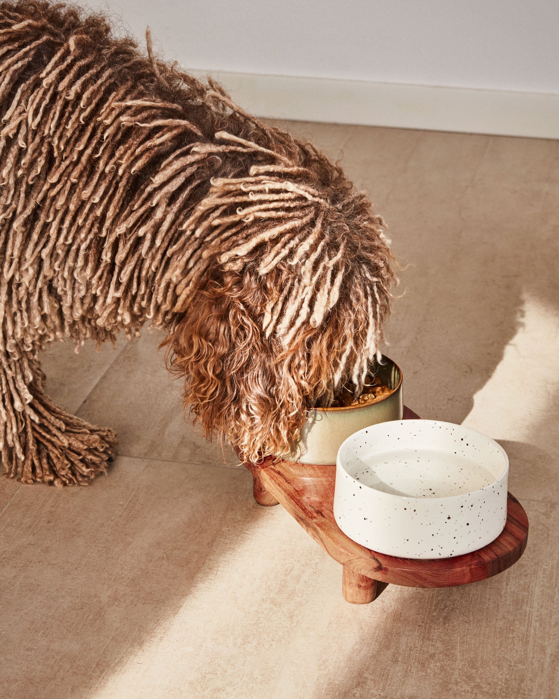 Dumbi set of 2 pet food and water bowls in white and brown Ø 14 cm - Lifestyle