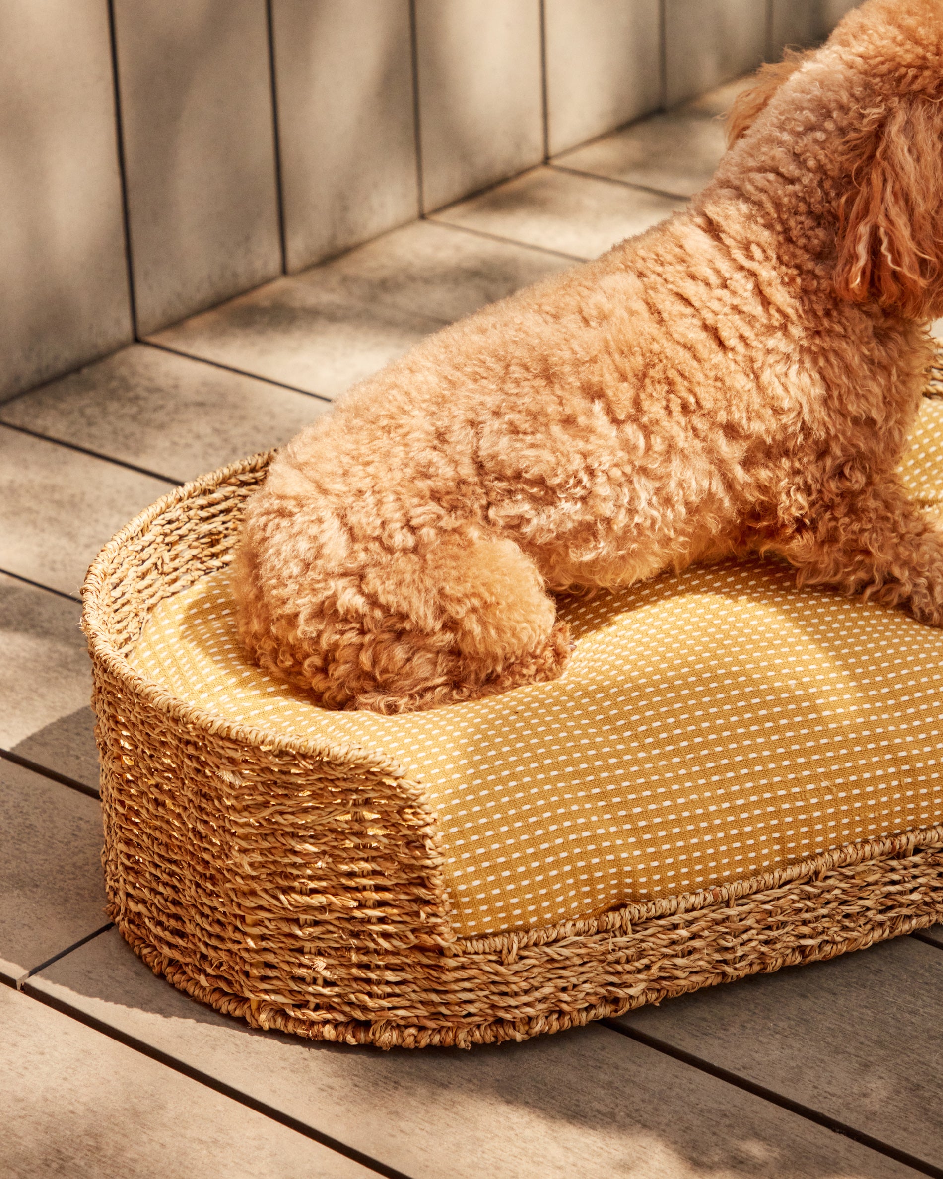 Fliicker bed for pets made from natural fibres Ø 60 x 35 cm - Lifestyle