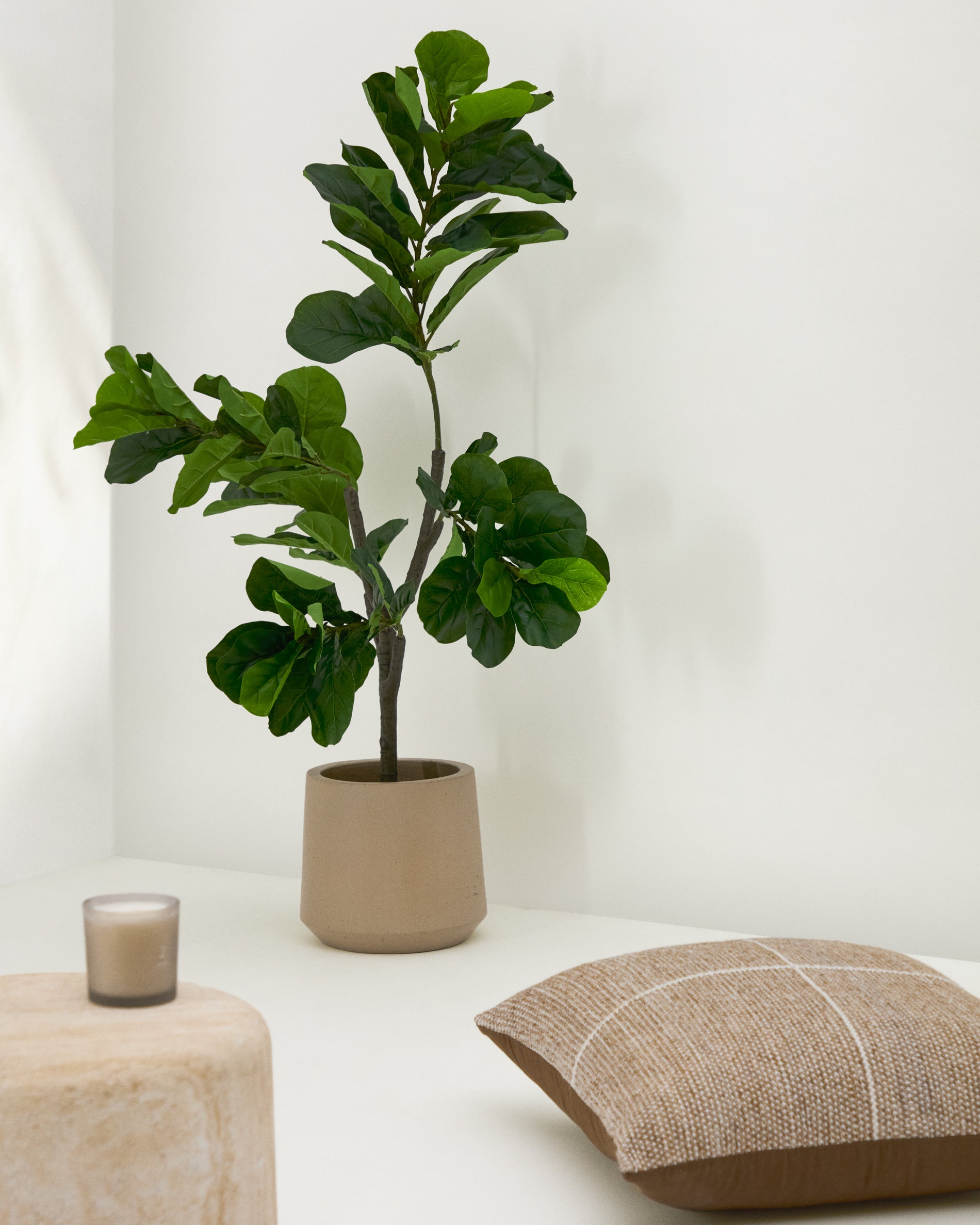 Ficus artificial 150 cm - Lifestyle