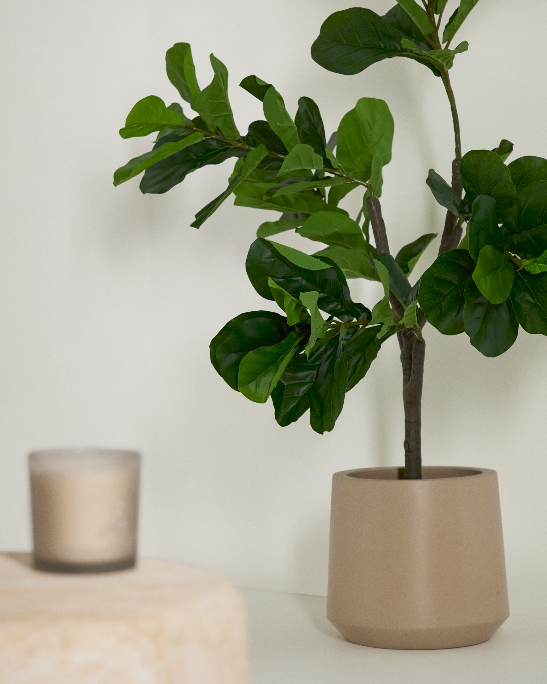 Ficus artificial 150 cm - Lifestyle